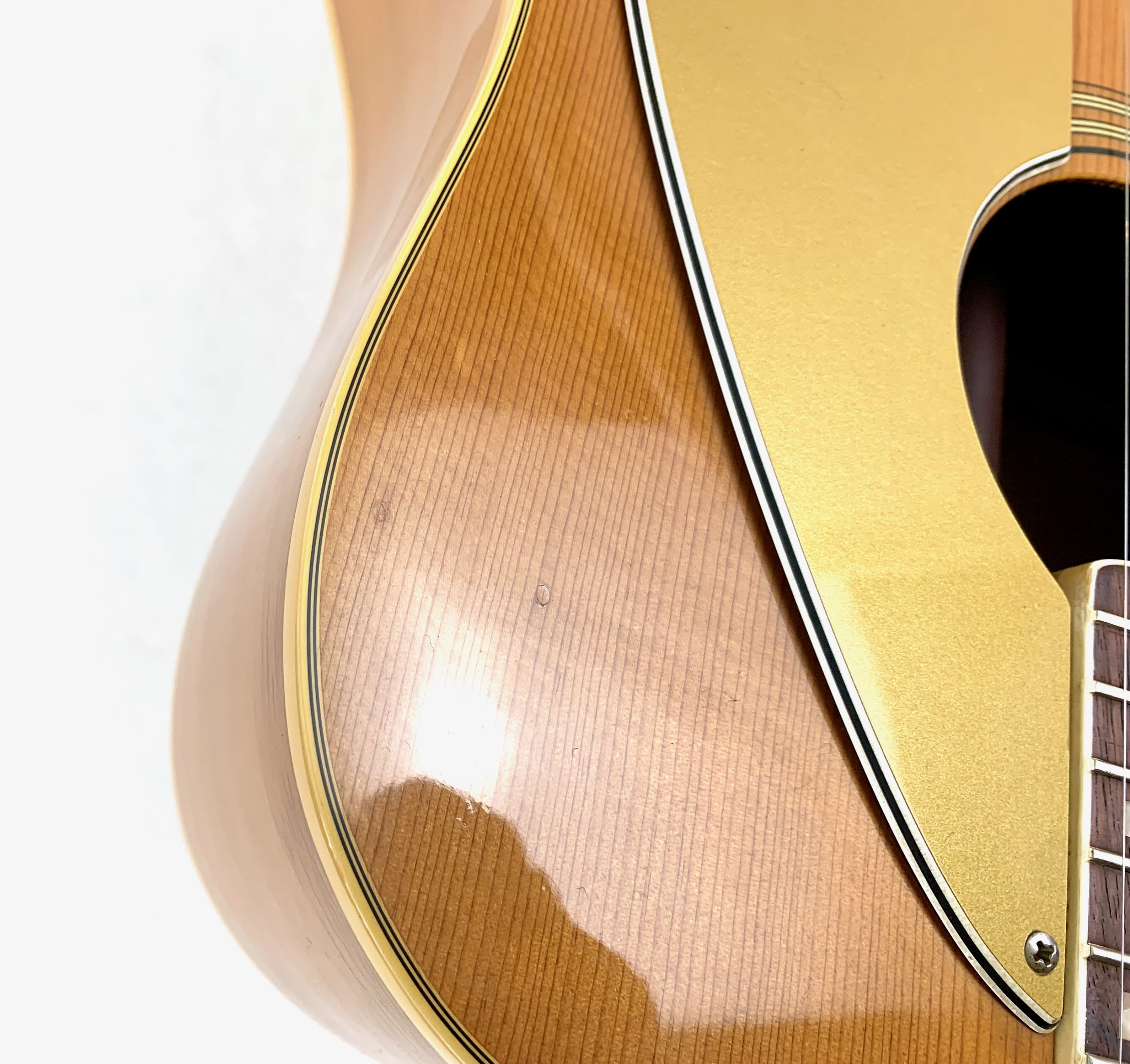 Fender Sonoran SCE Wildwood IV - Purpleheart Back & Sides (56419)