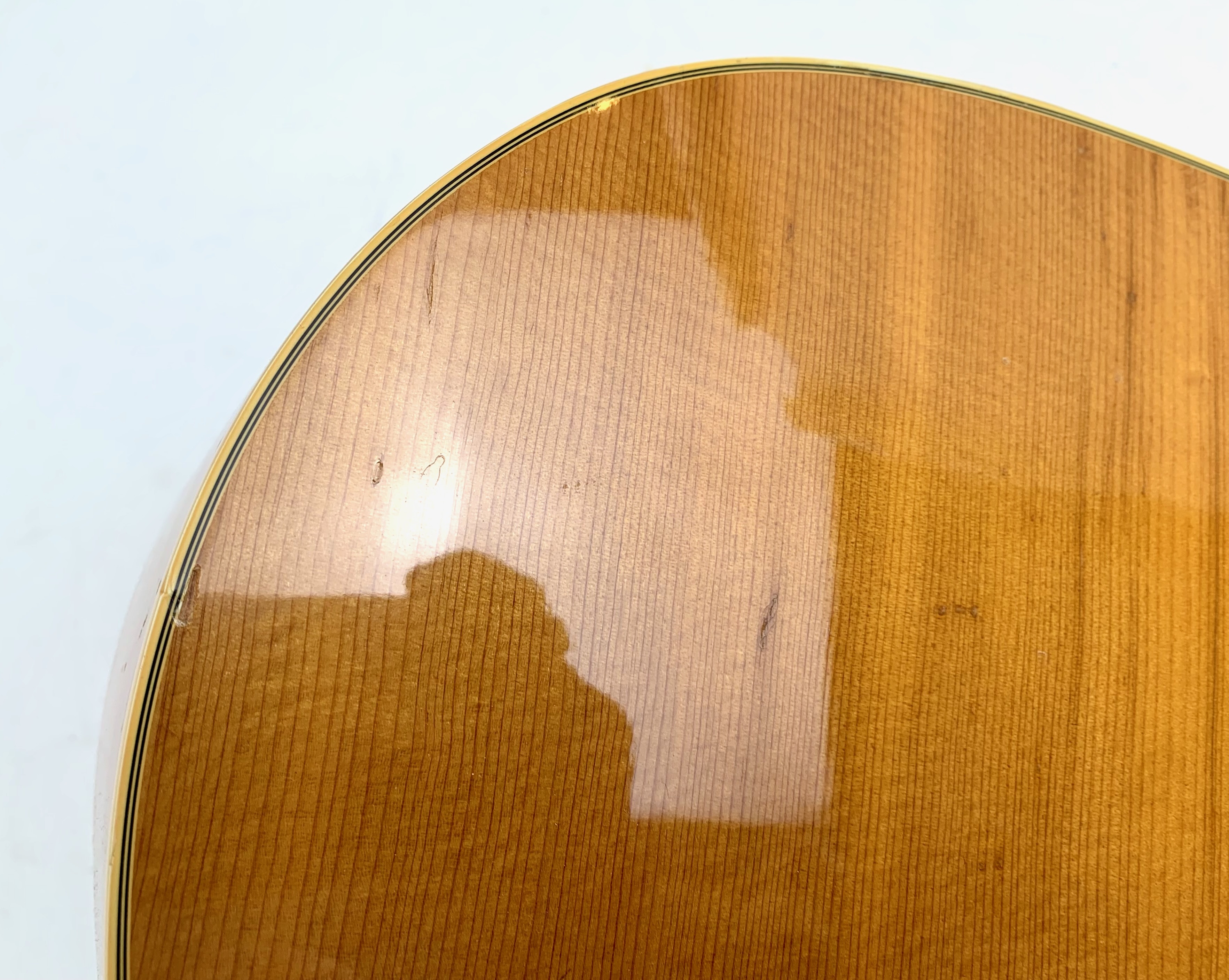 Fender Sonoran SCE Wildwood IV - Purpleheart Back & Sides (5503)