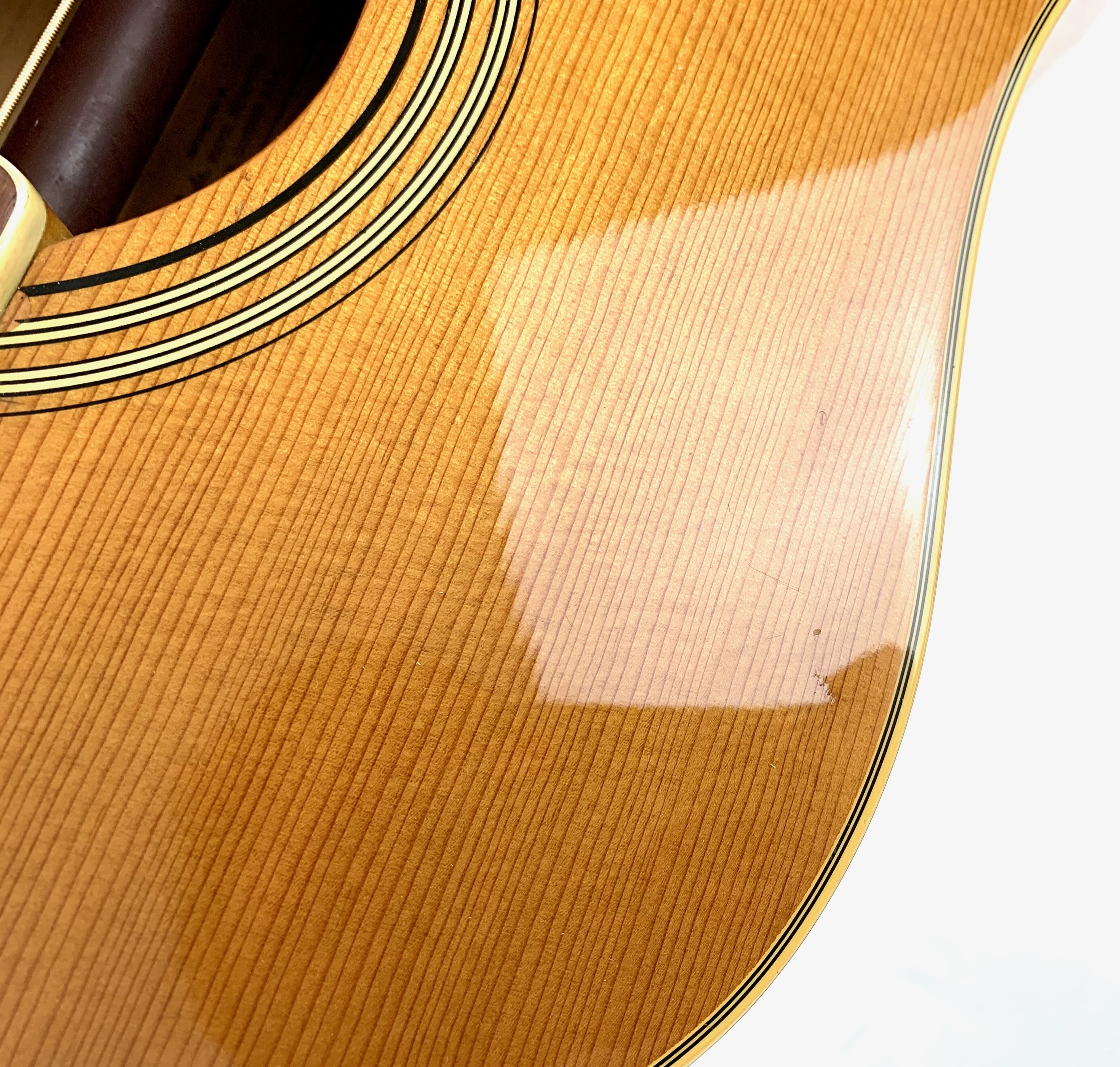 Fender Sonoran SCE Wildwood IV - Purpleheart Back & Sides (47307)