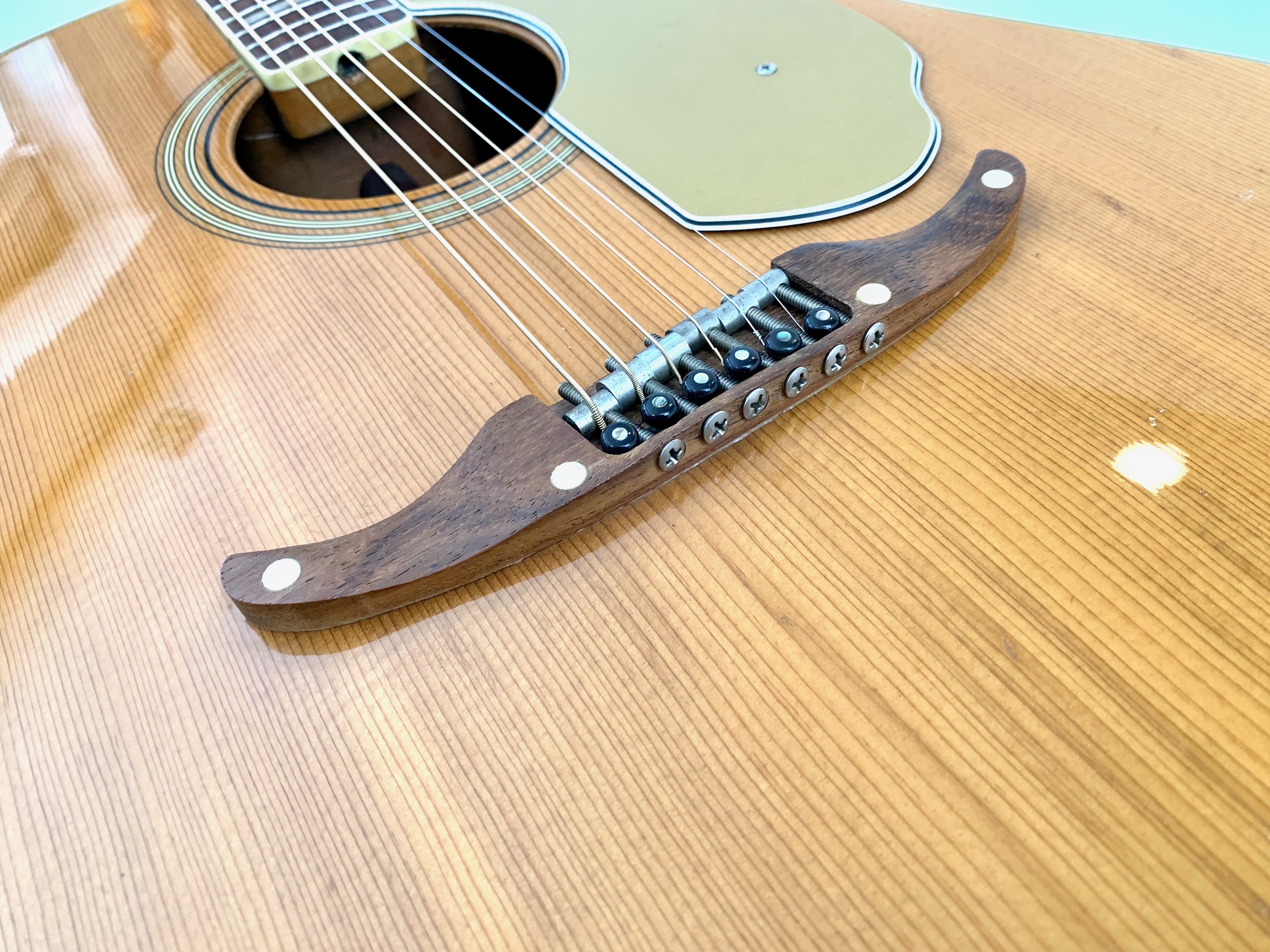 Fender Sonoran SCE Wildwood IV - Purpleheart Back & Sides (70320)
