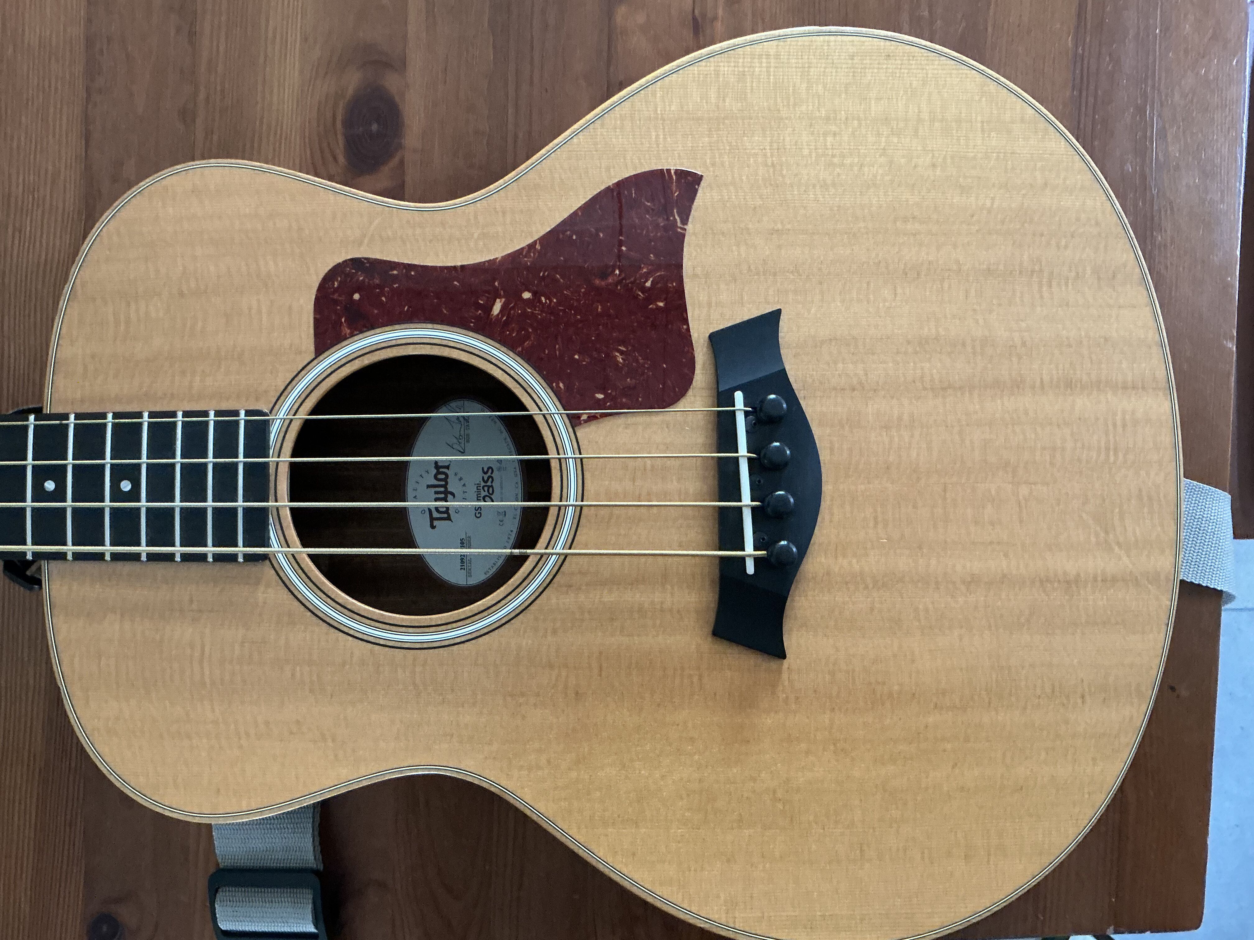 vends minibass electroacoustique, Taylor, très bon état,