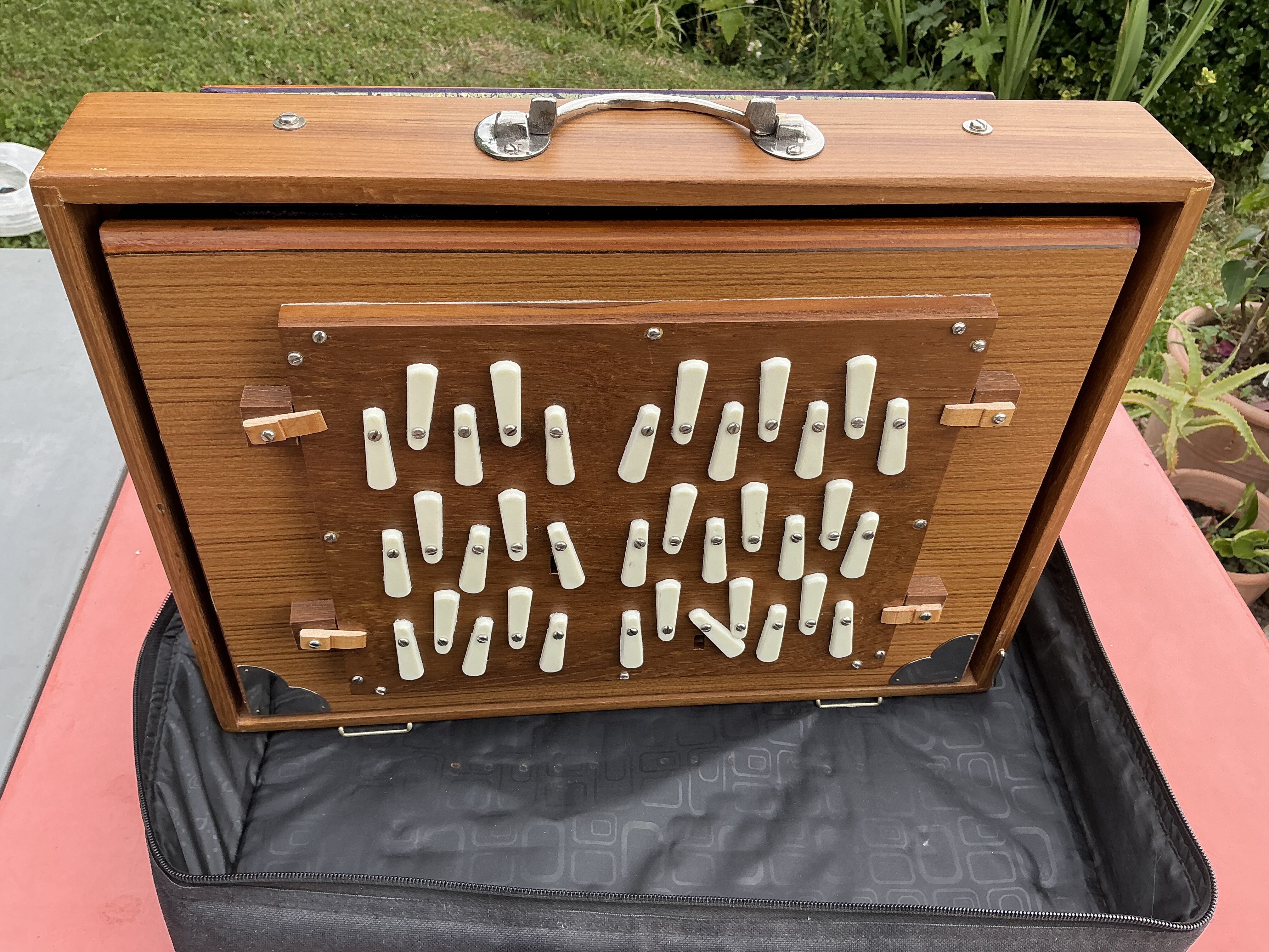 Vends shruti Box , neuf , jamais servi avec sa housse. Marque Pick et Boch