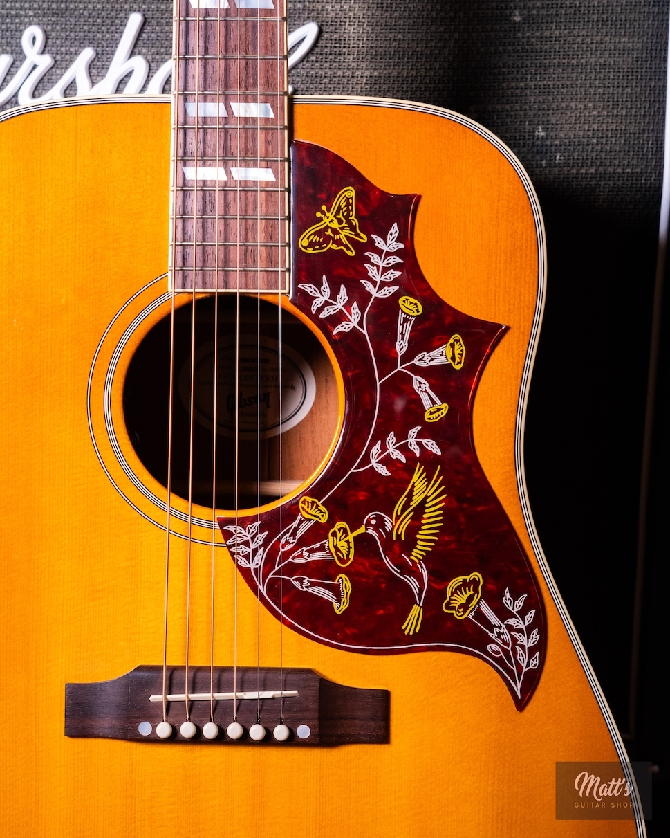 Gibson-Hummingbird-03