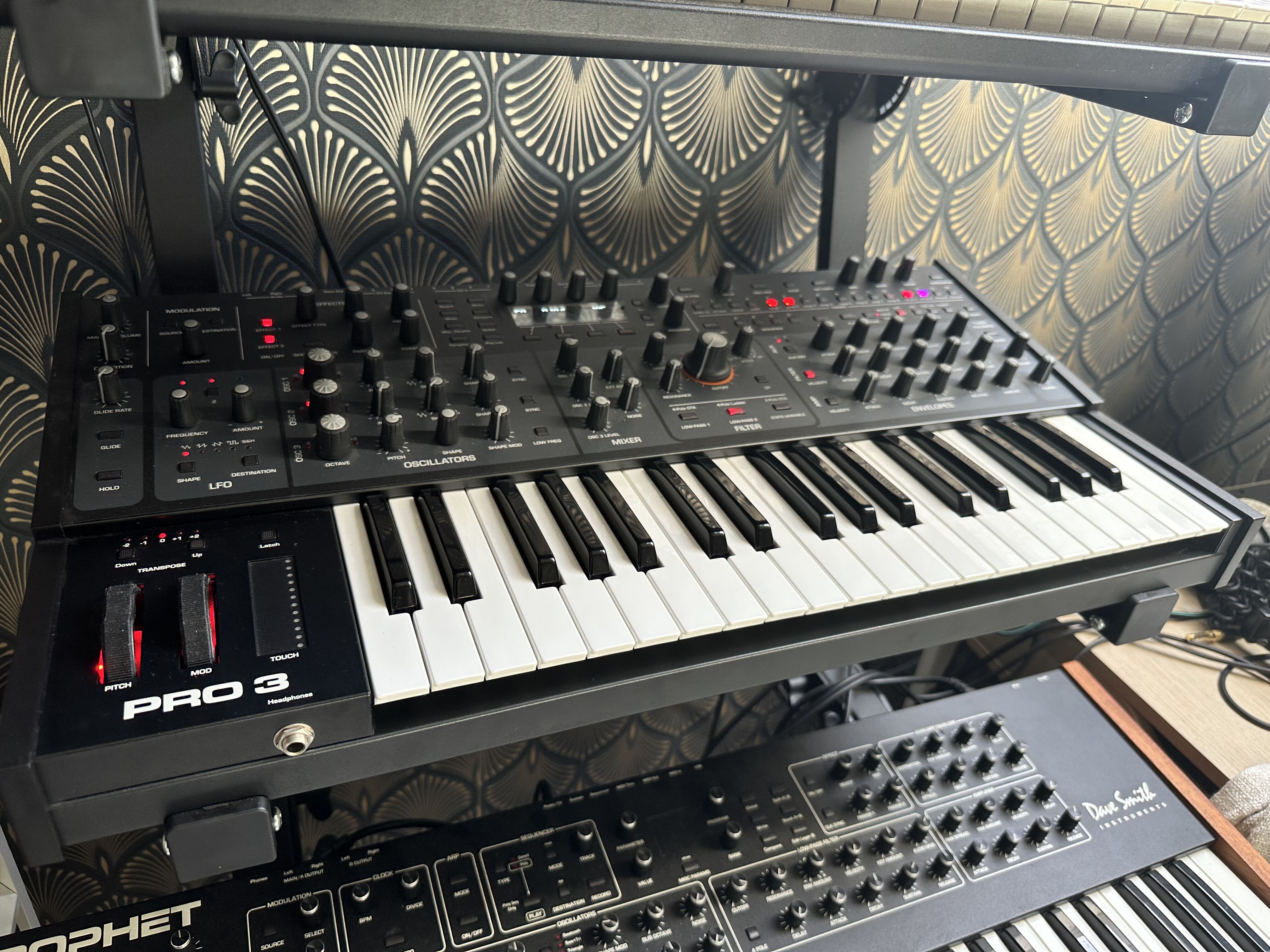 IMG 7077