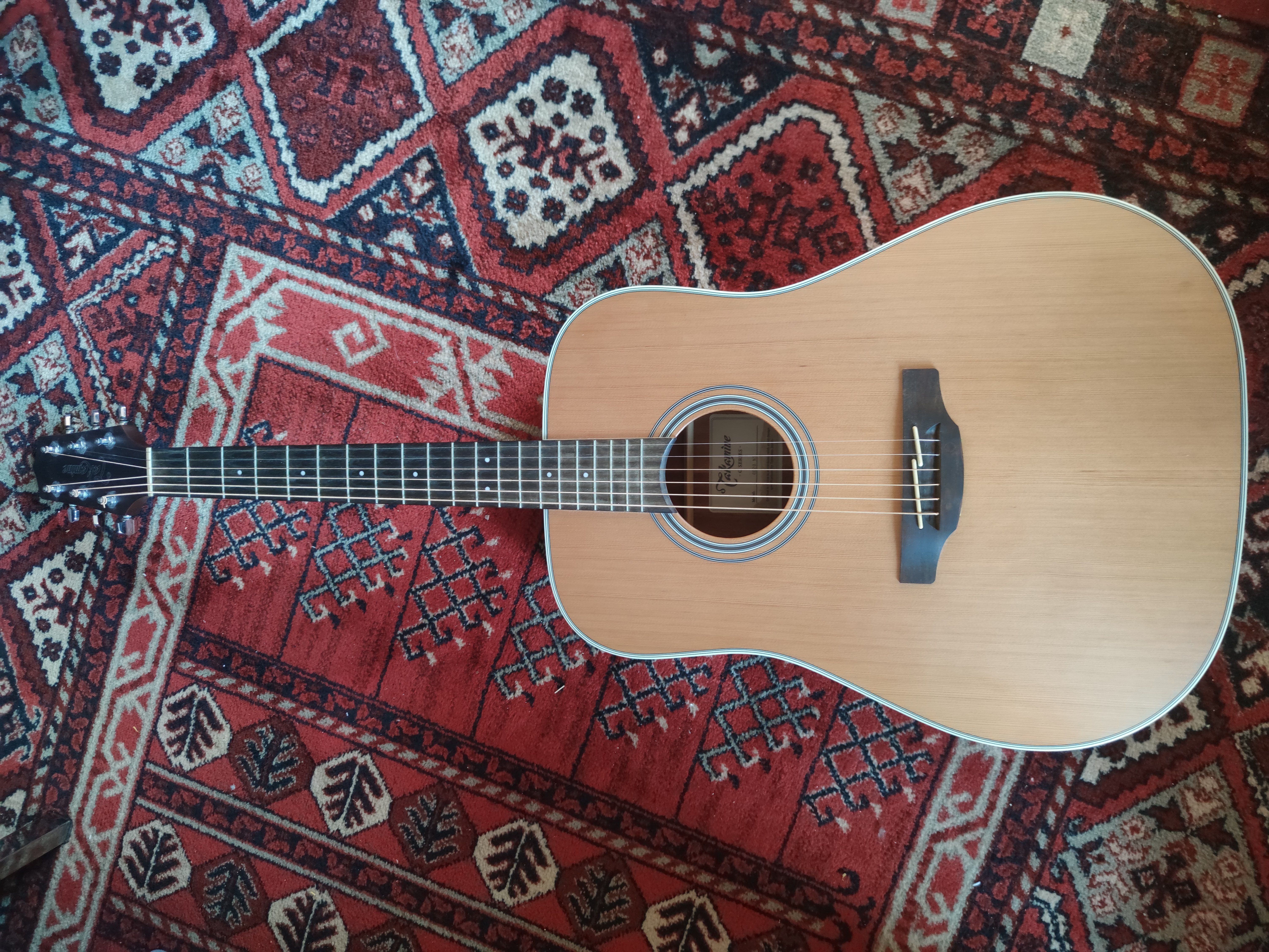 Guitare acoustique Takamine GD20-NS