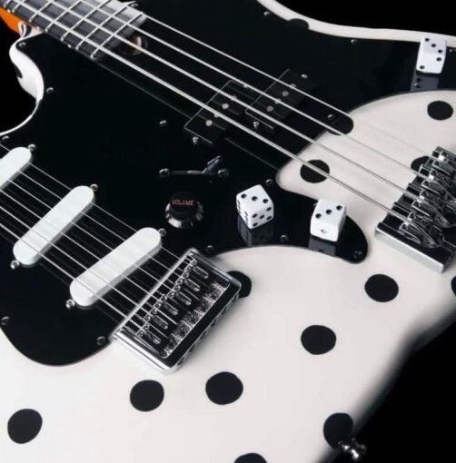 Godin ADPdetail Godin ADPdetail