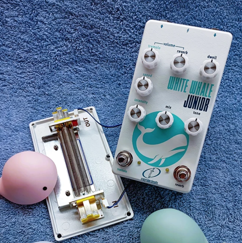 White Whale JuniorGuts