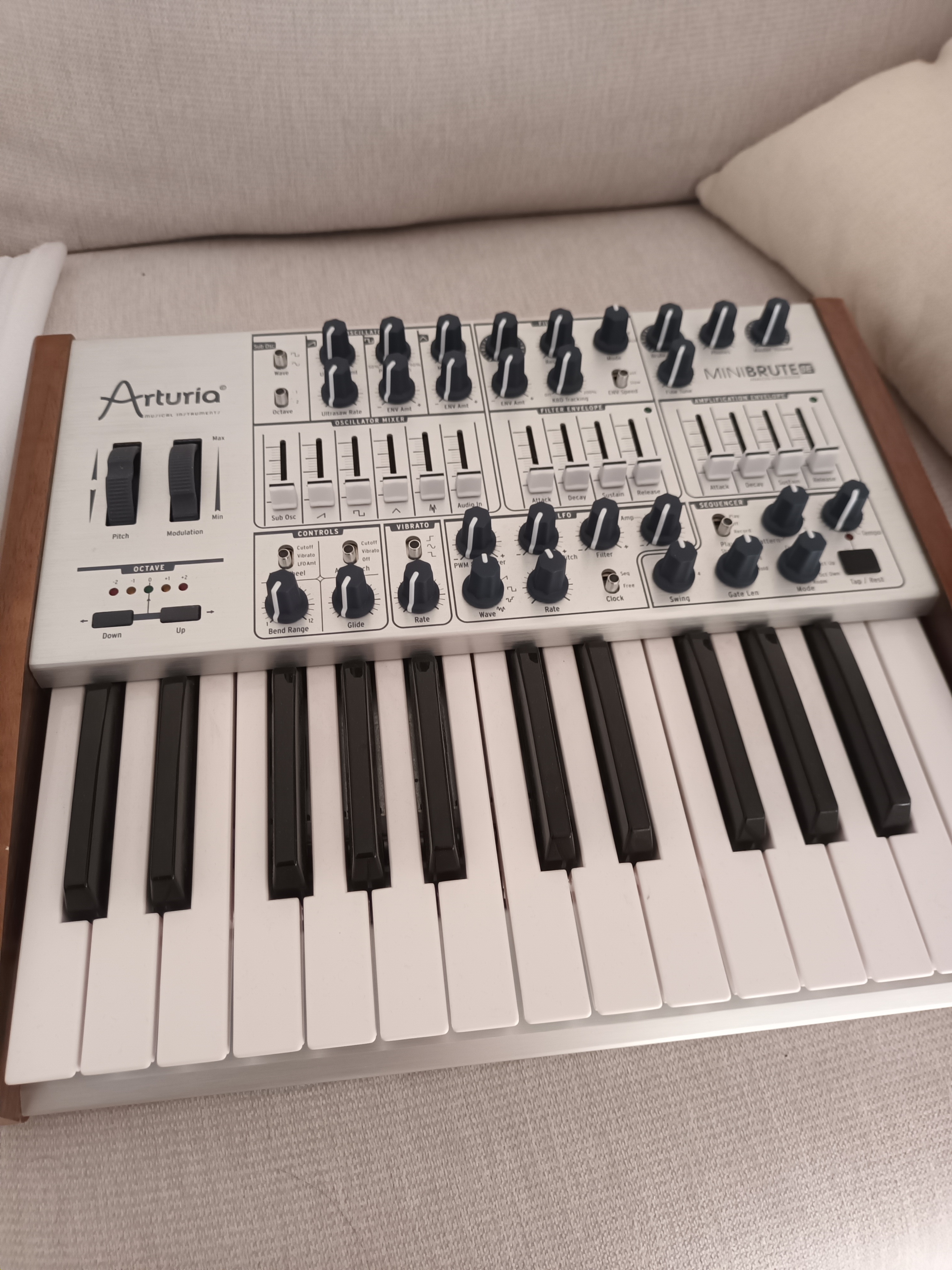 Arturia MiniBrute SE