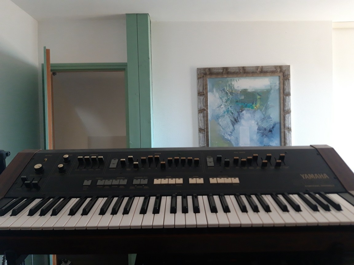 Vends synthétiseur analogique Yamaha SK 20