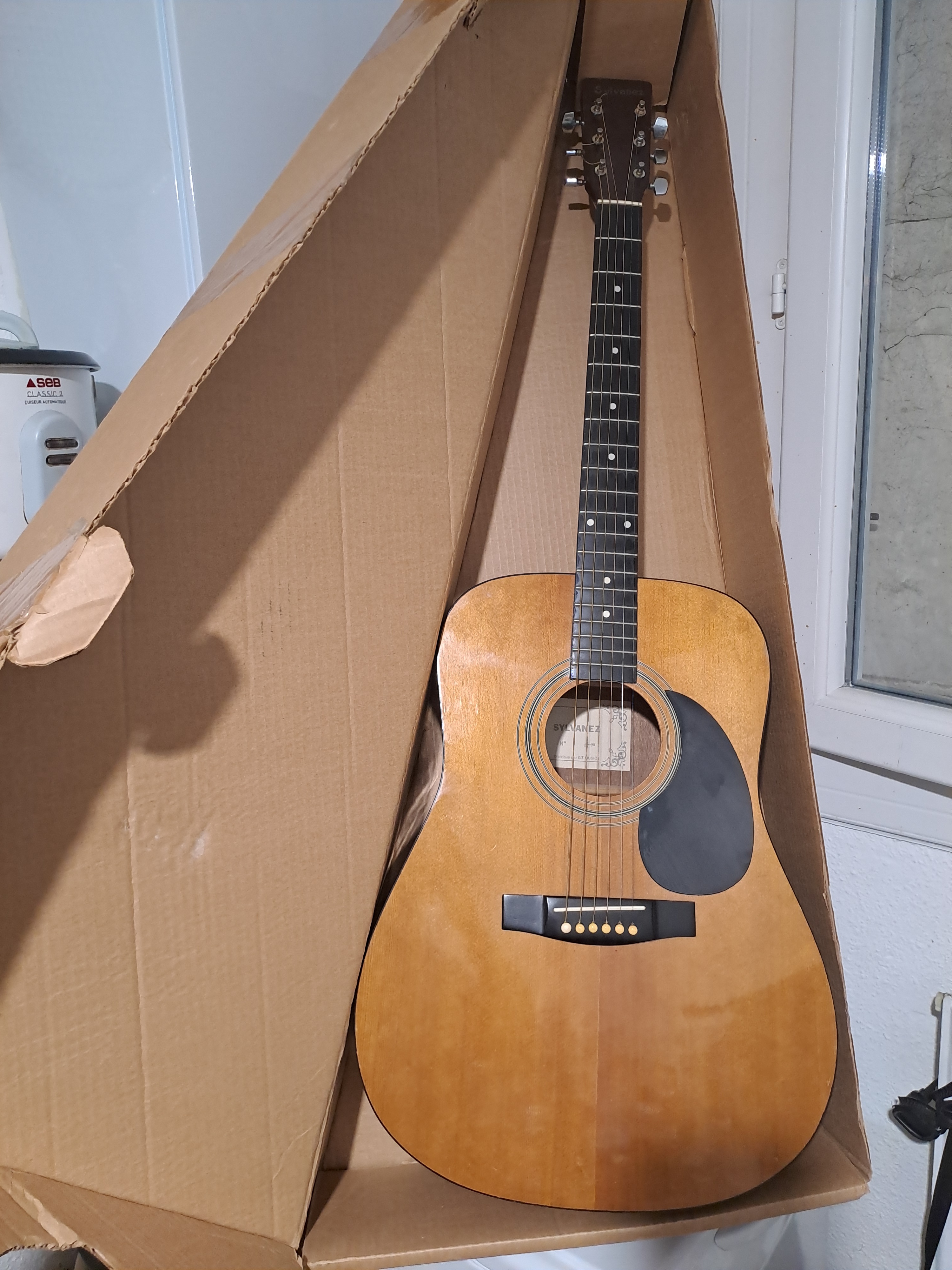 Guitare acoustique Sylvanez sj-90