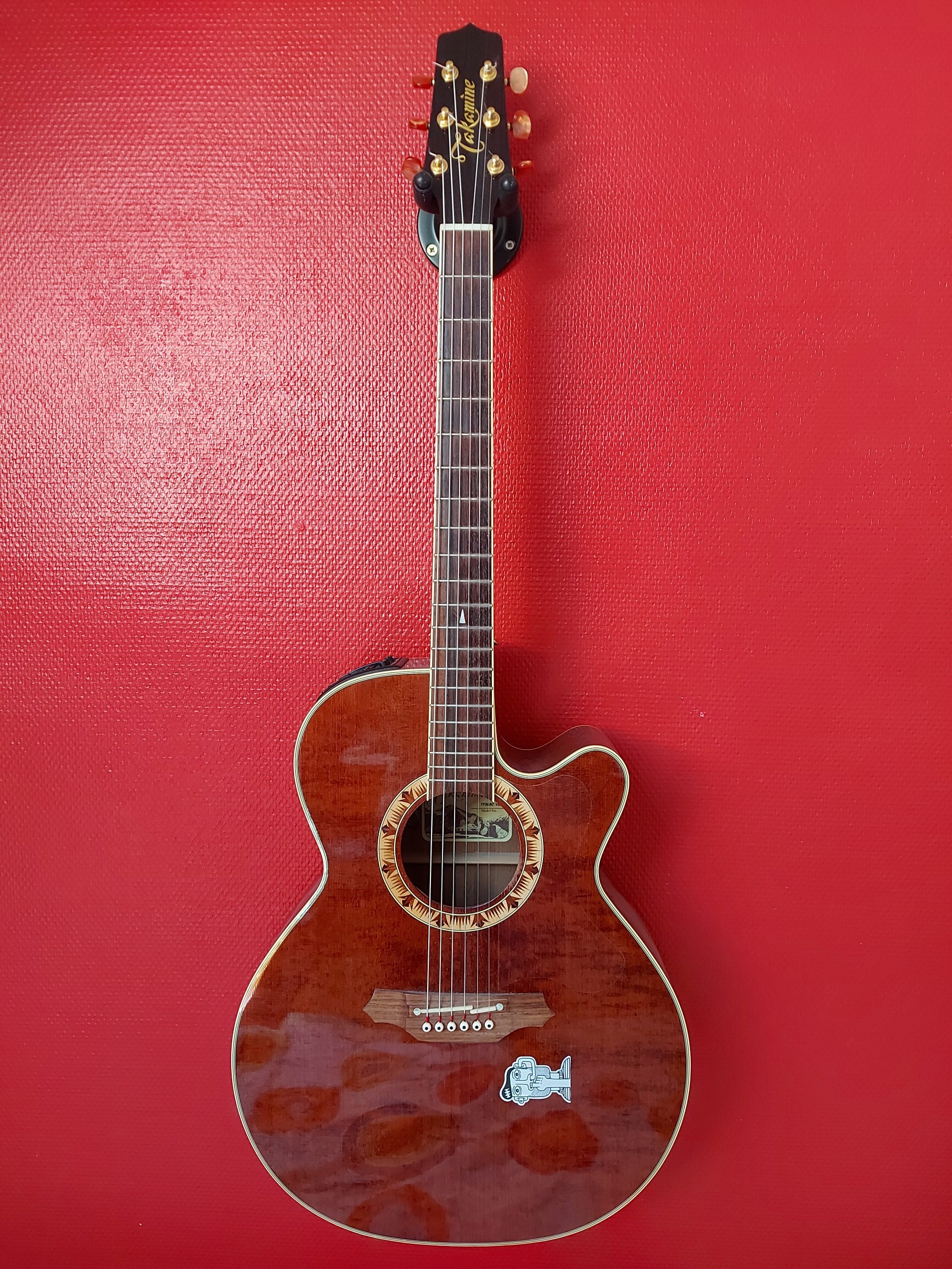 Takamine ef 508 c 