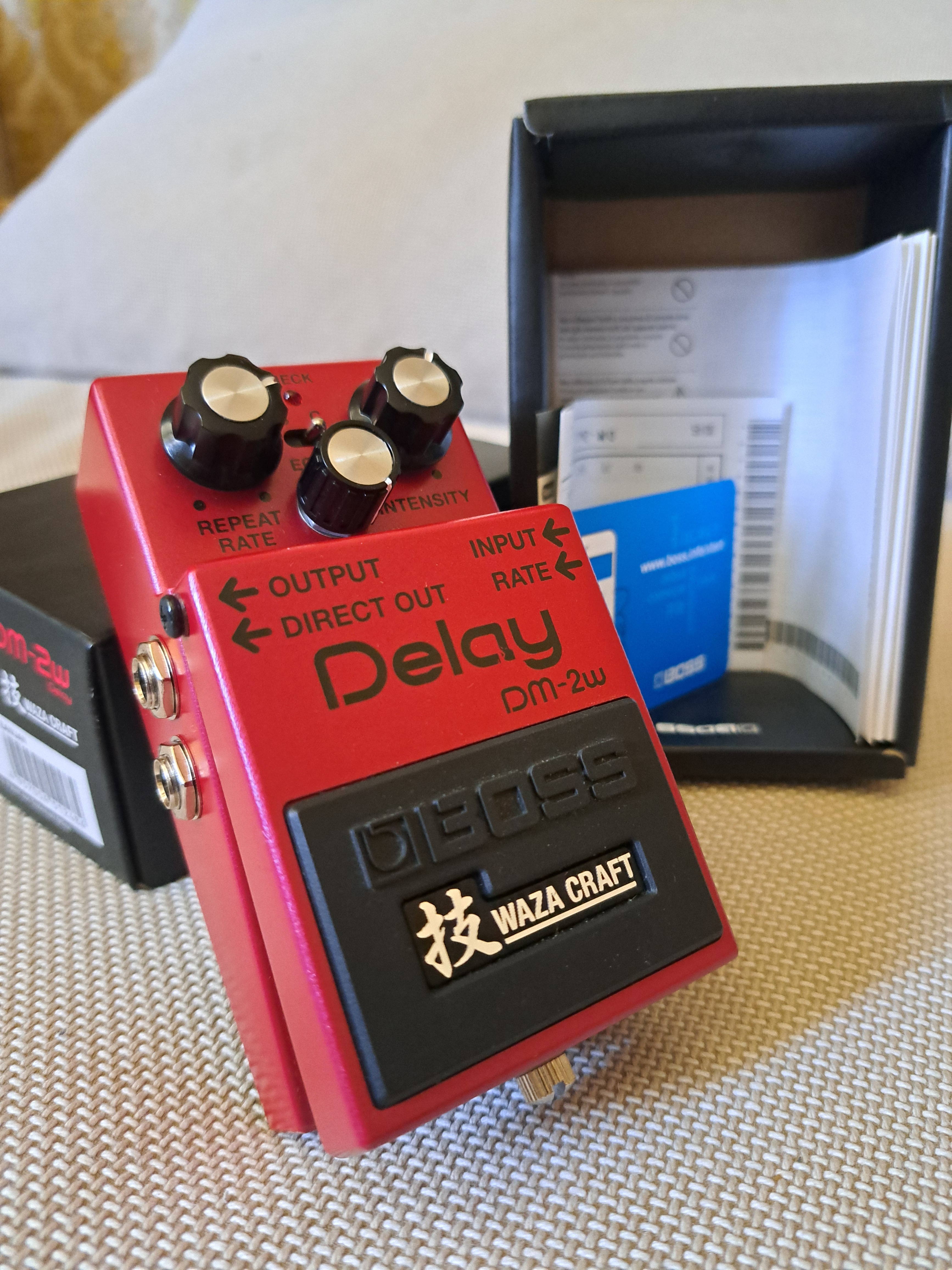 Boss DM-2W Delay (94689)