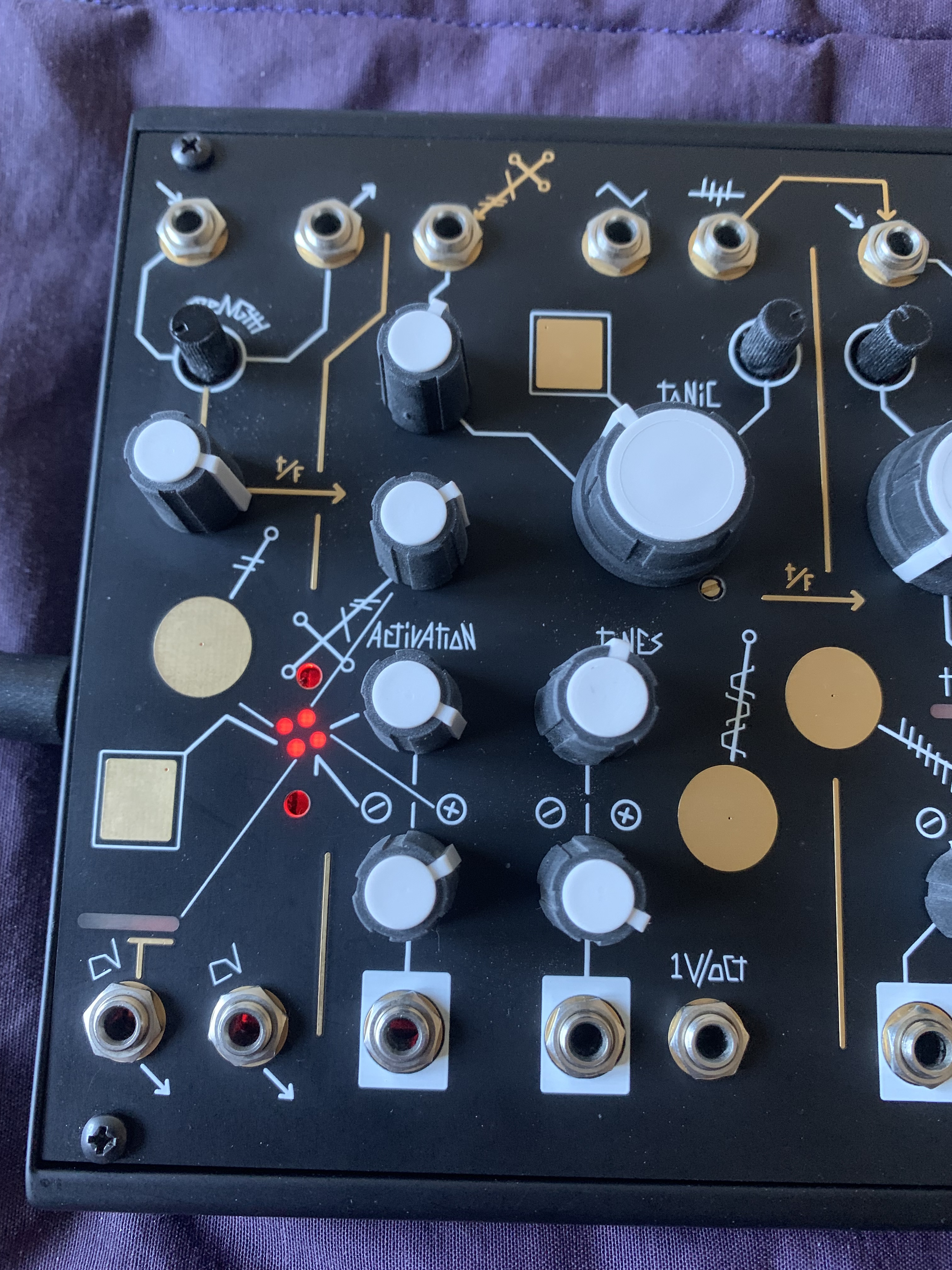 Make Noise Strega (968)