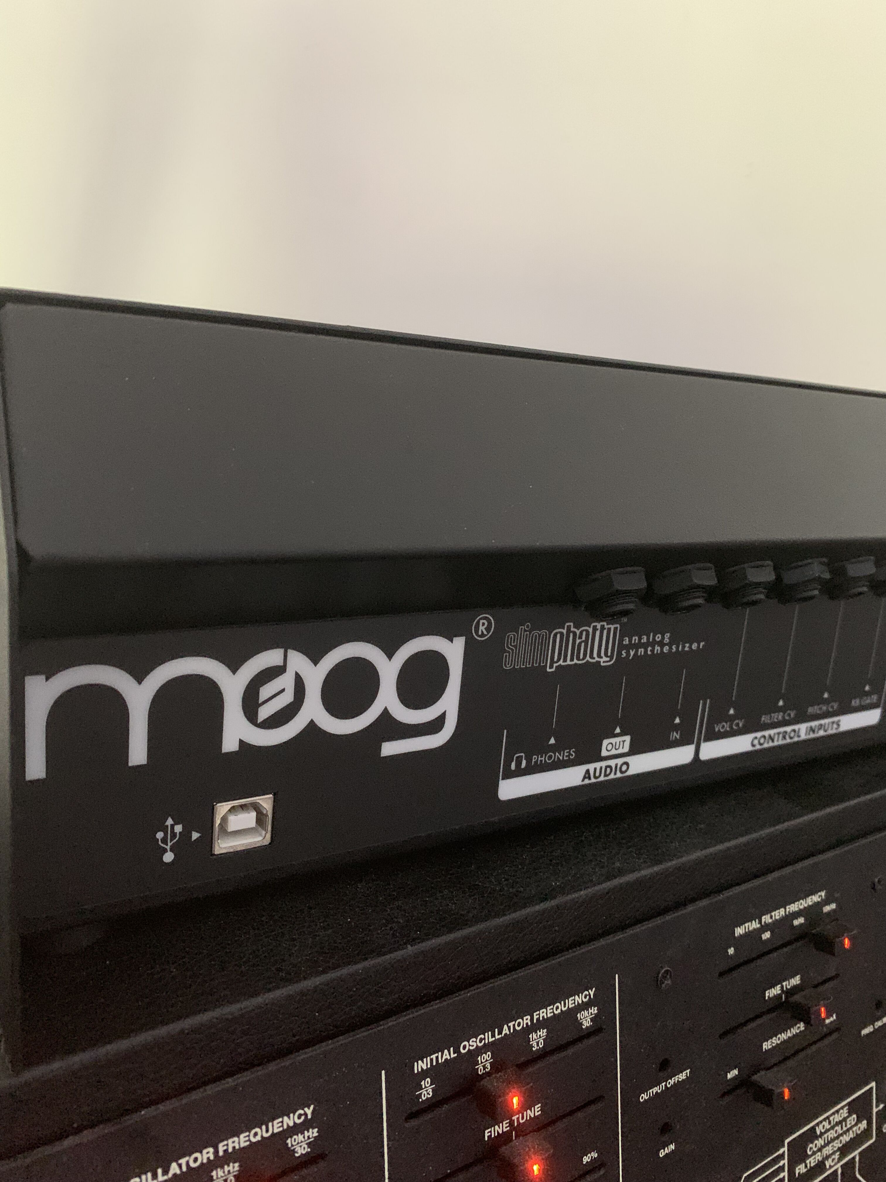 Moog Music SlimPhatty (29447)
