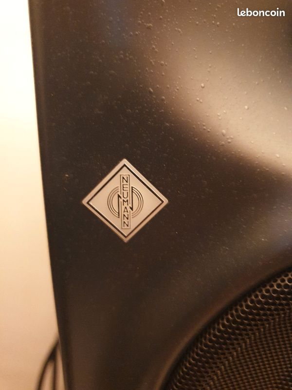 Vends paire Neumann KH 120A