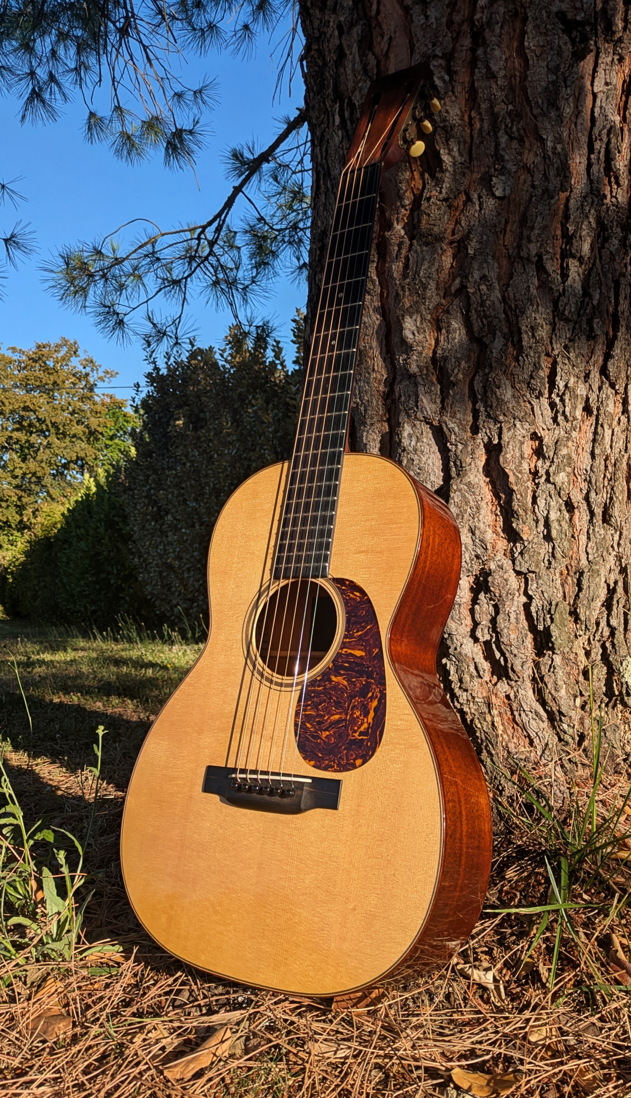 Martin&Co 00-18 Authentic 1931 VTS 2015