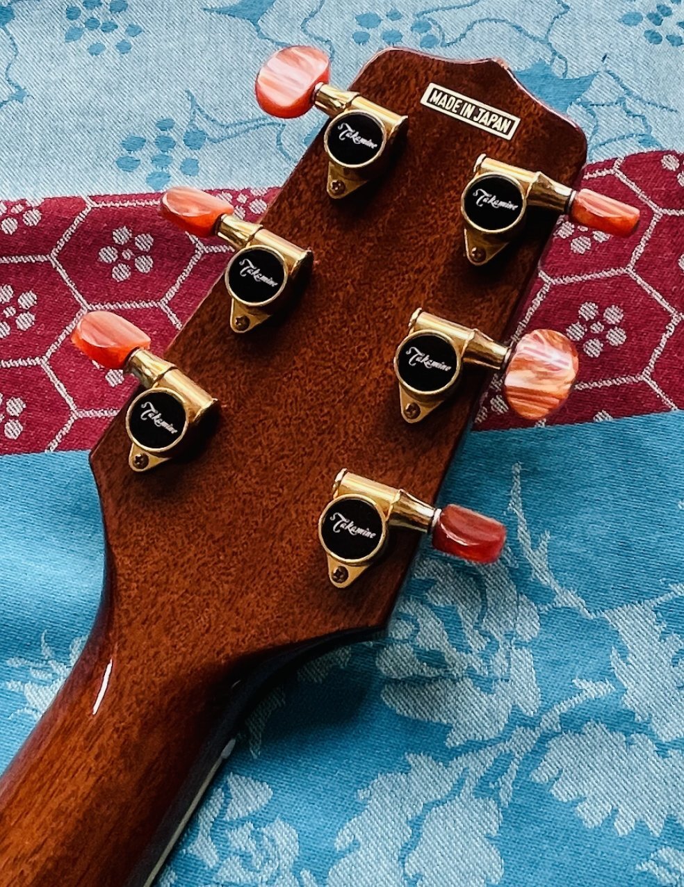 Takamine-EF508C-BOURGEYX-2026-11