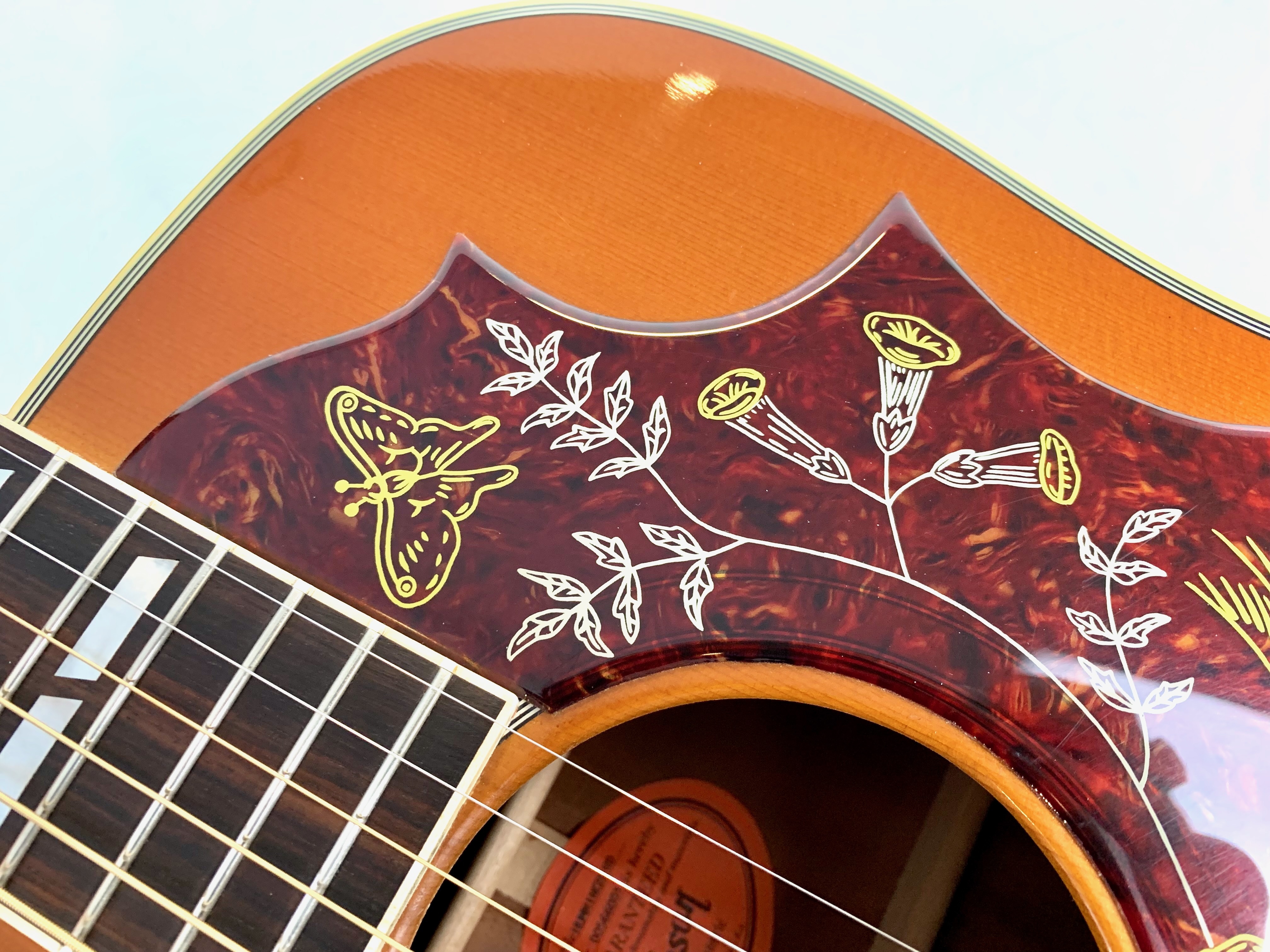 Gibson Hummingbird (79790)