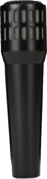 MIC Audix i5  (95 €)