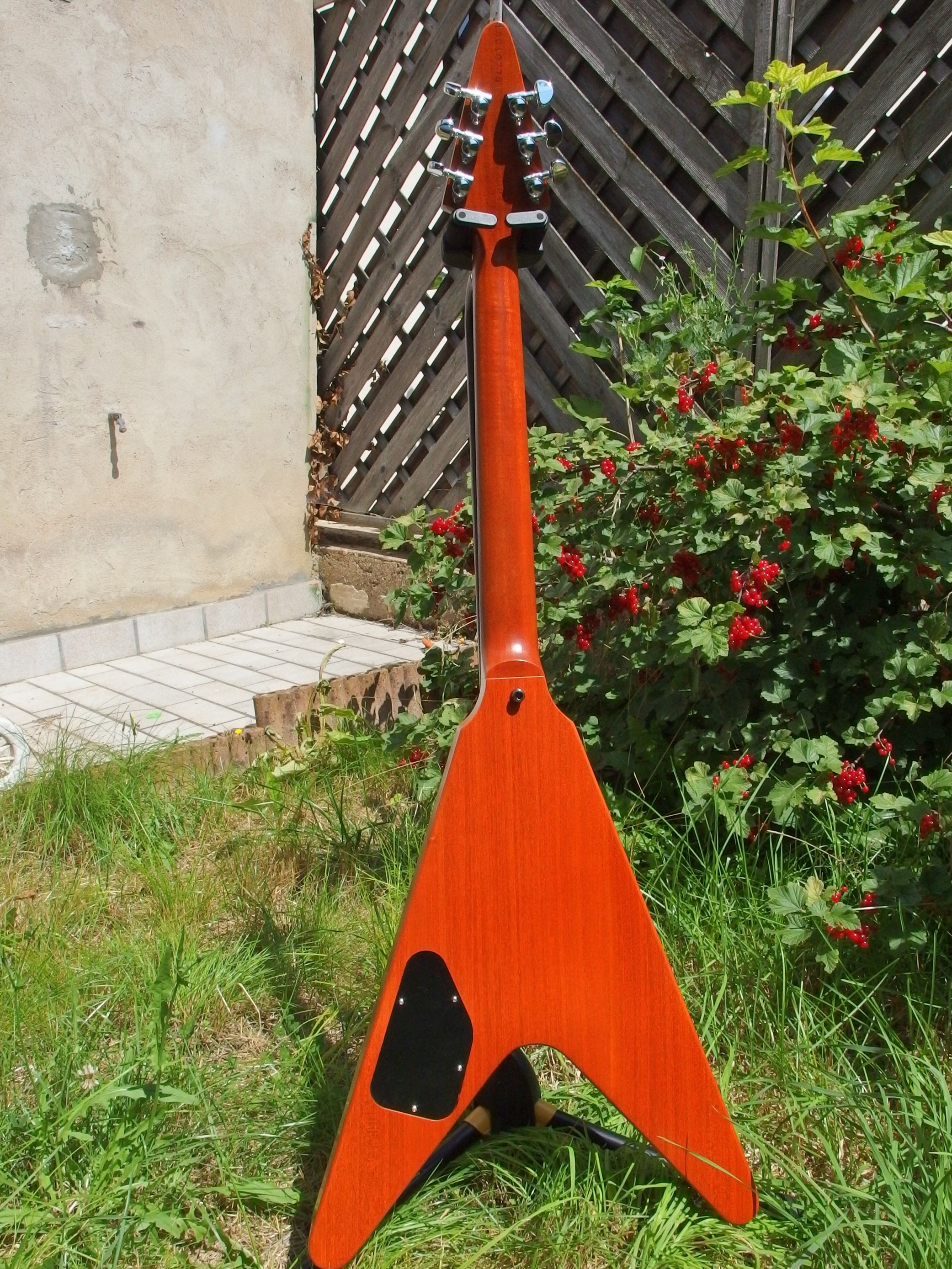 Flying V 04