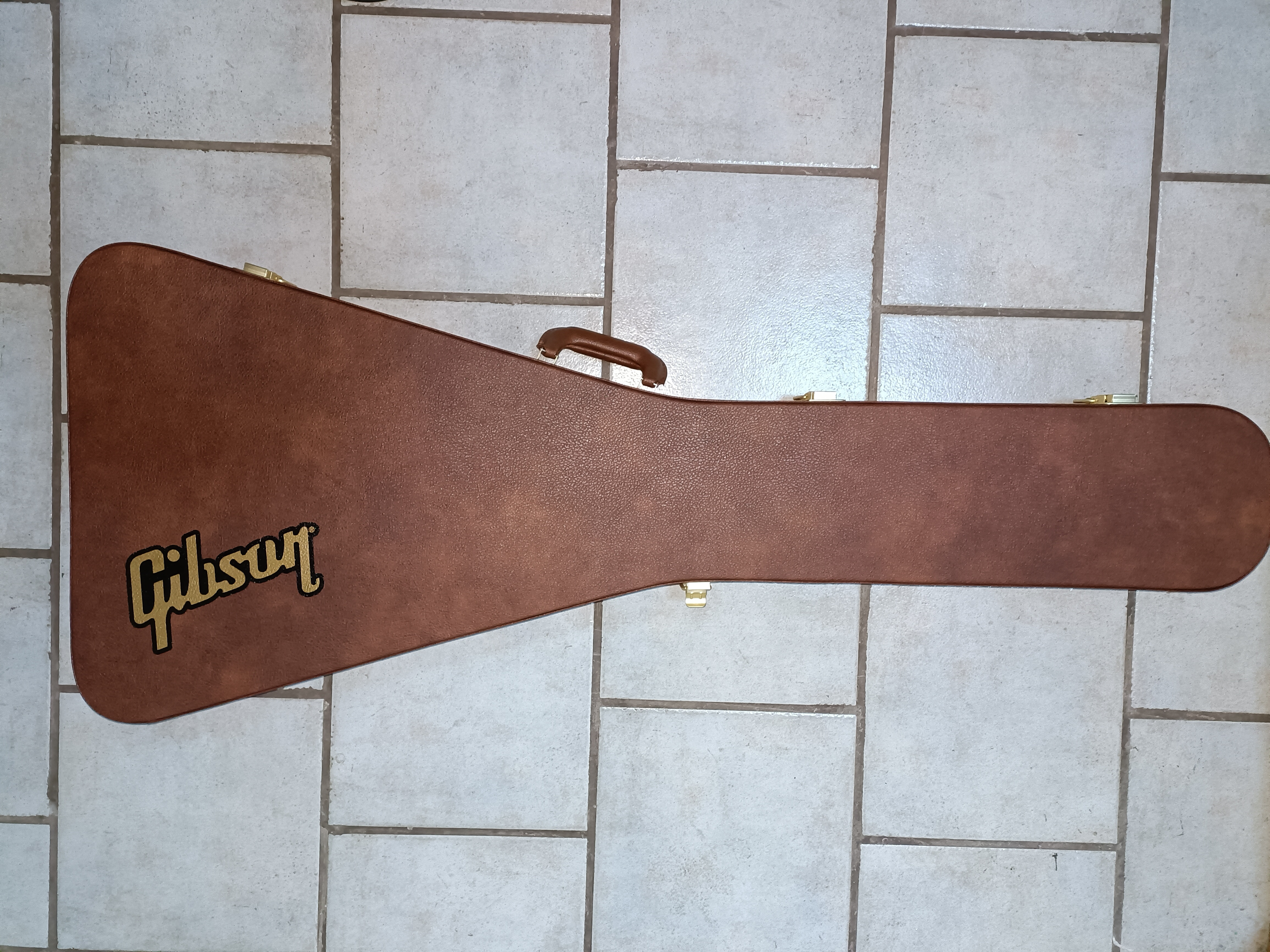 Flying V case
