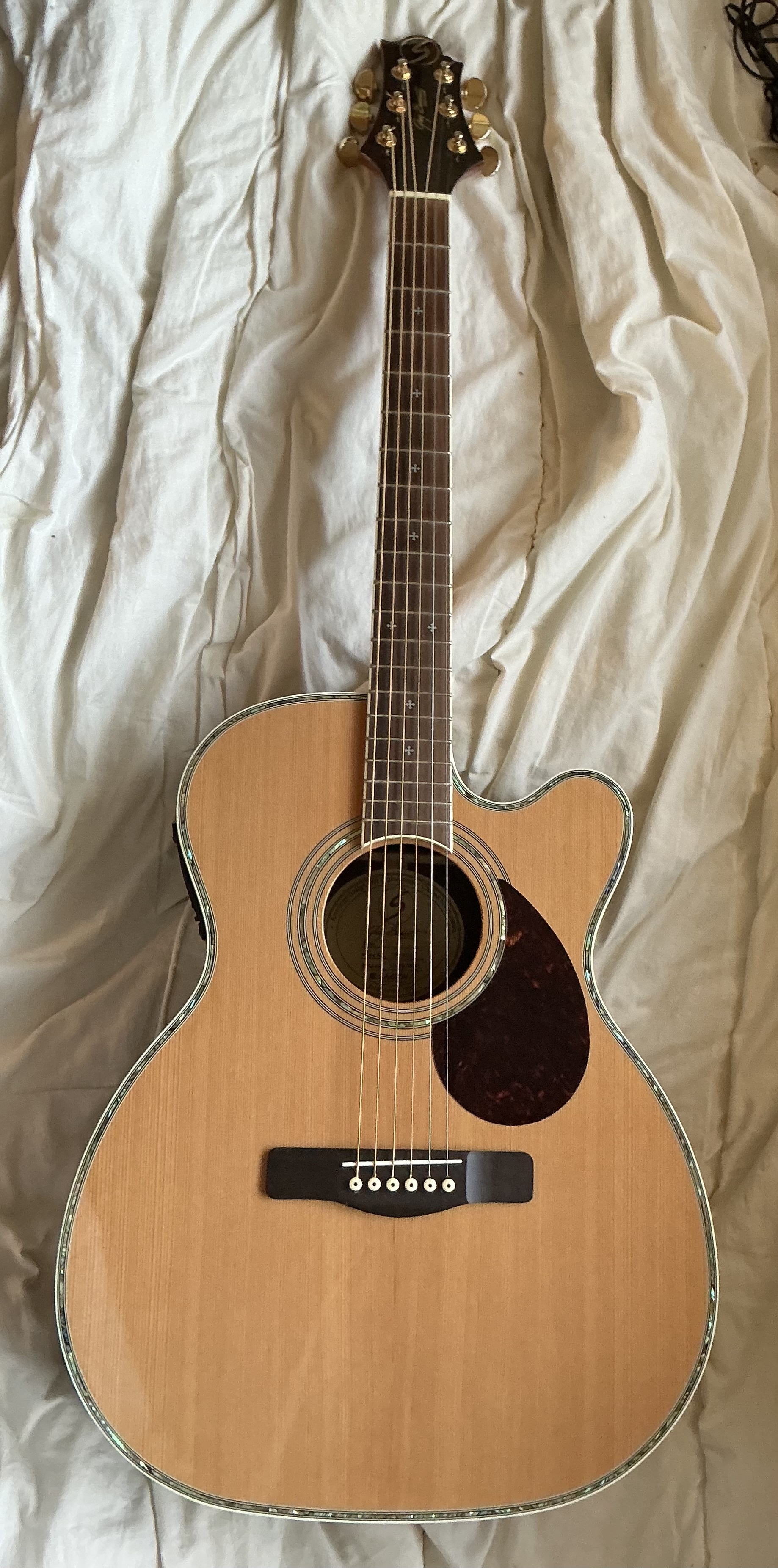 vds guitare électro-acoustique Greg Bennett OM8 CE