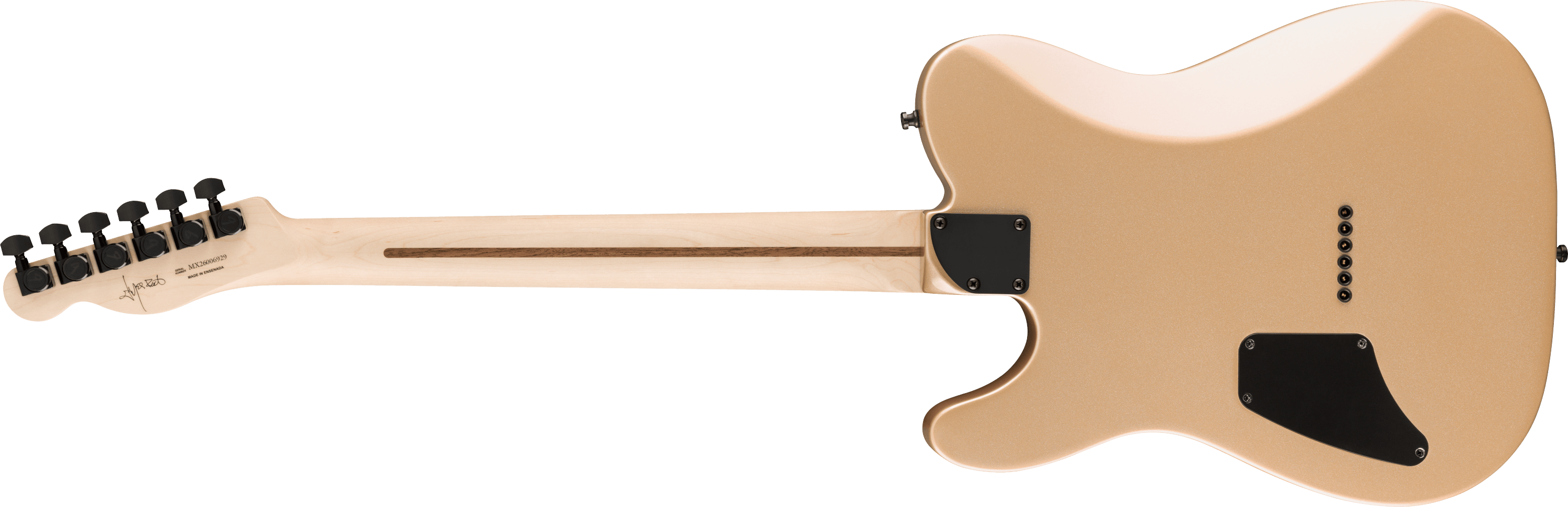 Limited Edition Jim Root TelecasterREAR
