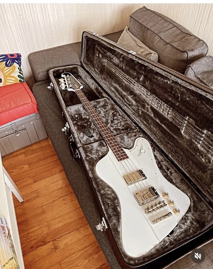 Vend Epiphone Thunderbird vintage pro