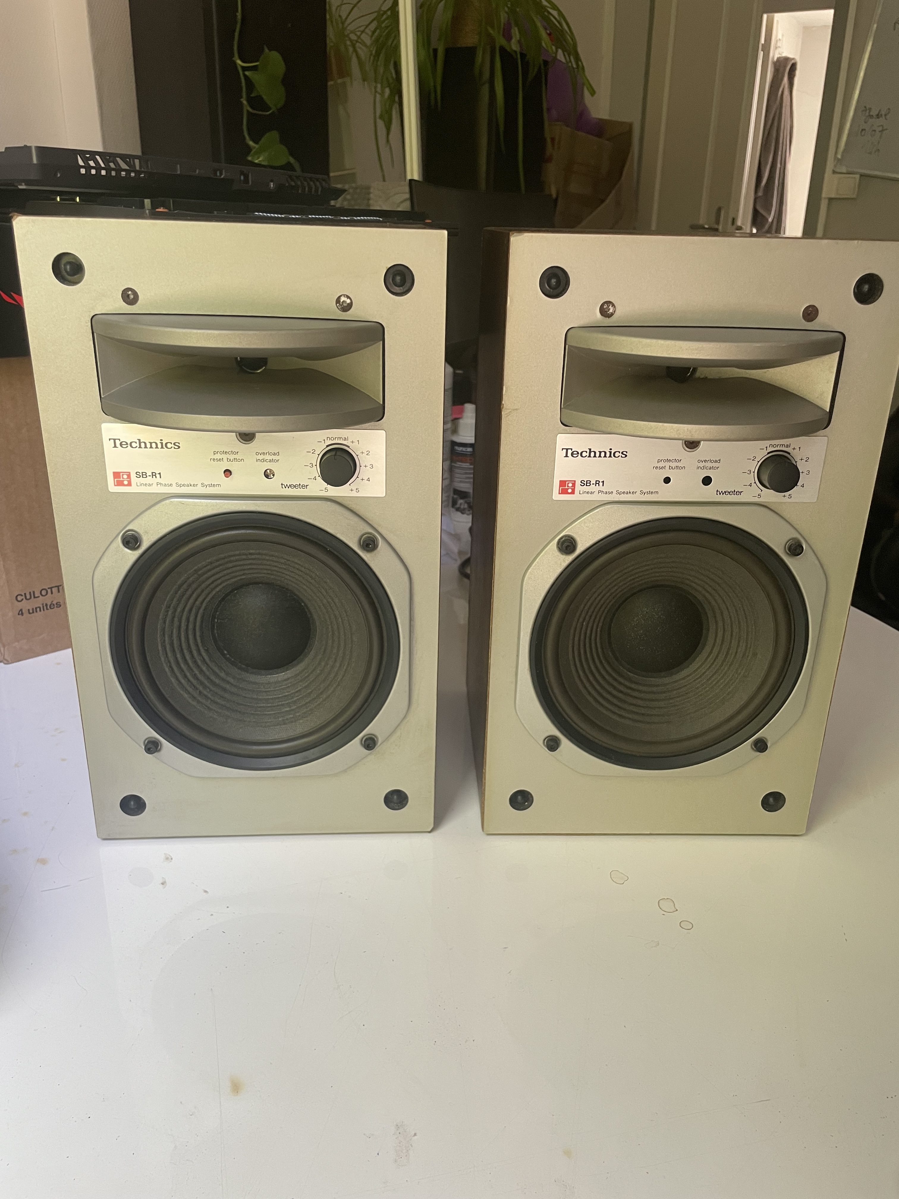 Rare 1979 Technics SB-R1 à phase linéaire
