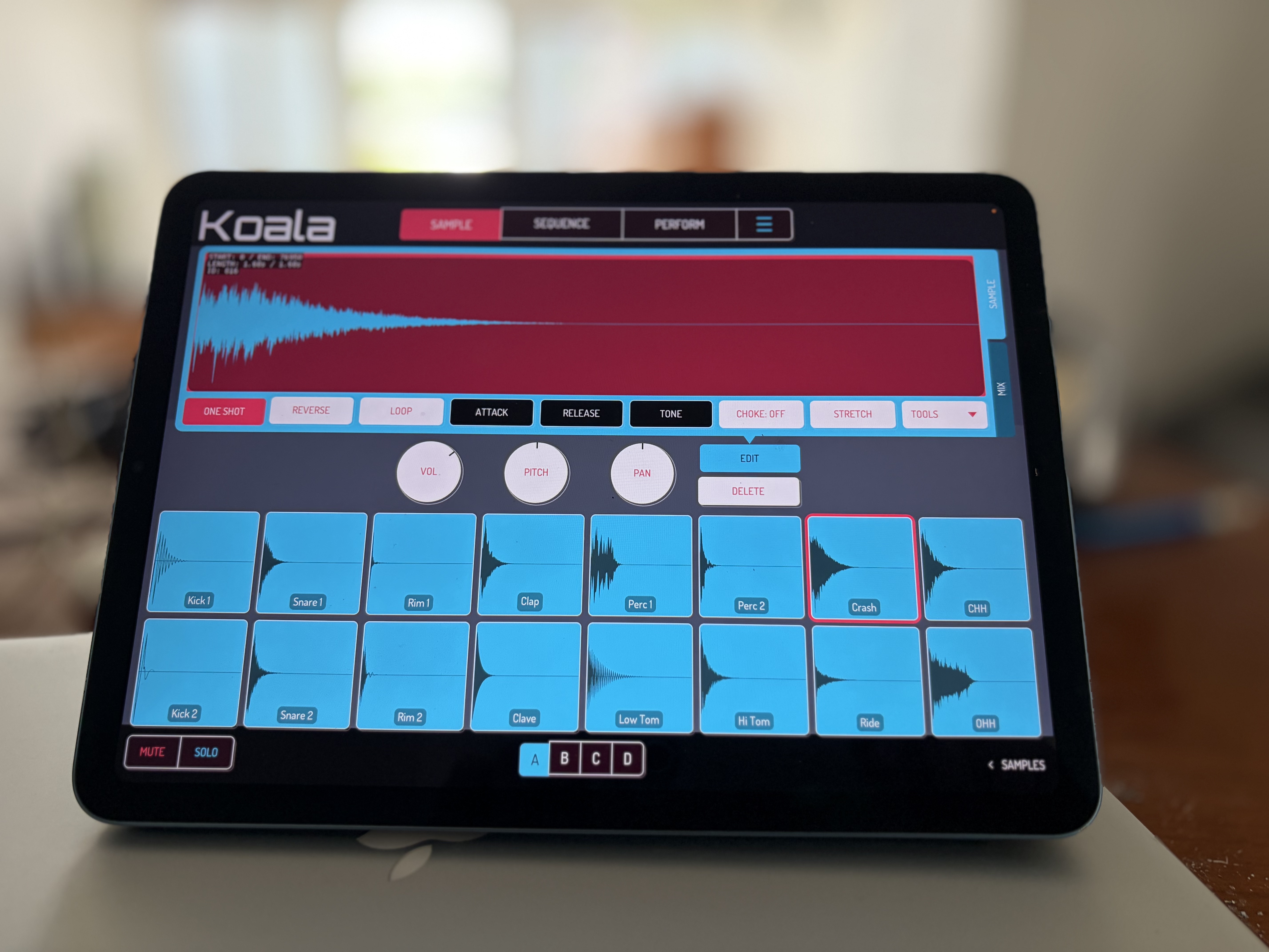 iPad - Koala