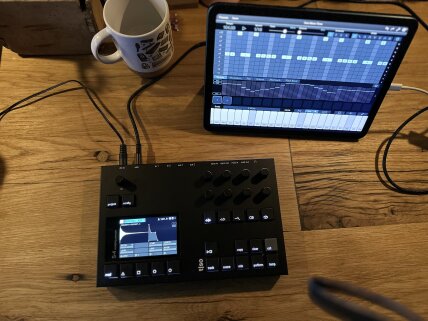 iPad & Torso S4 iPad & Torso S4