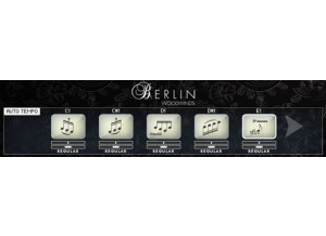 Orchestral Tools Berlin Woodwinds