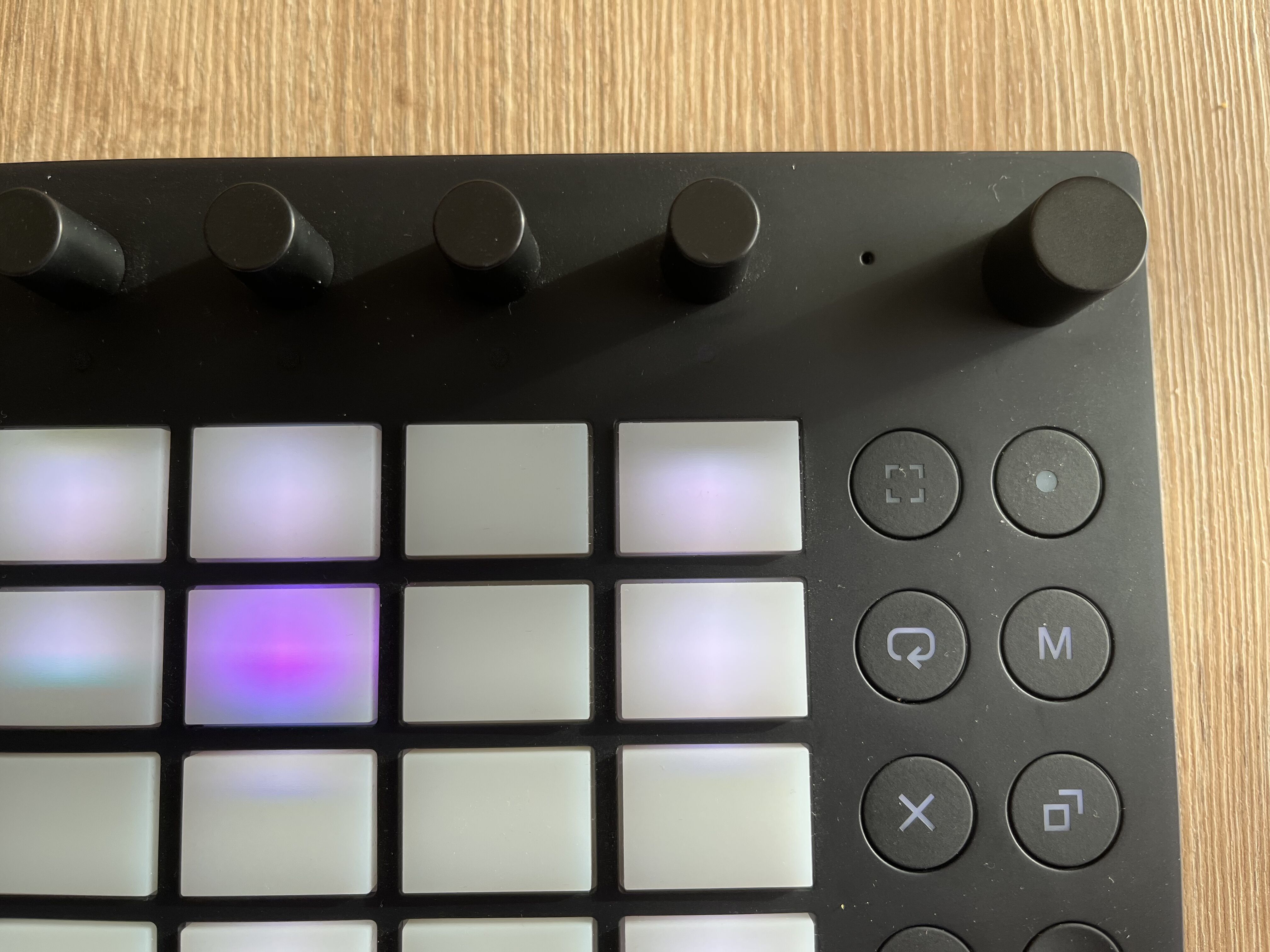 Ableton Move (89293)