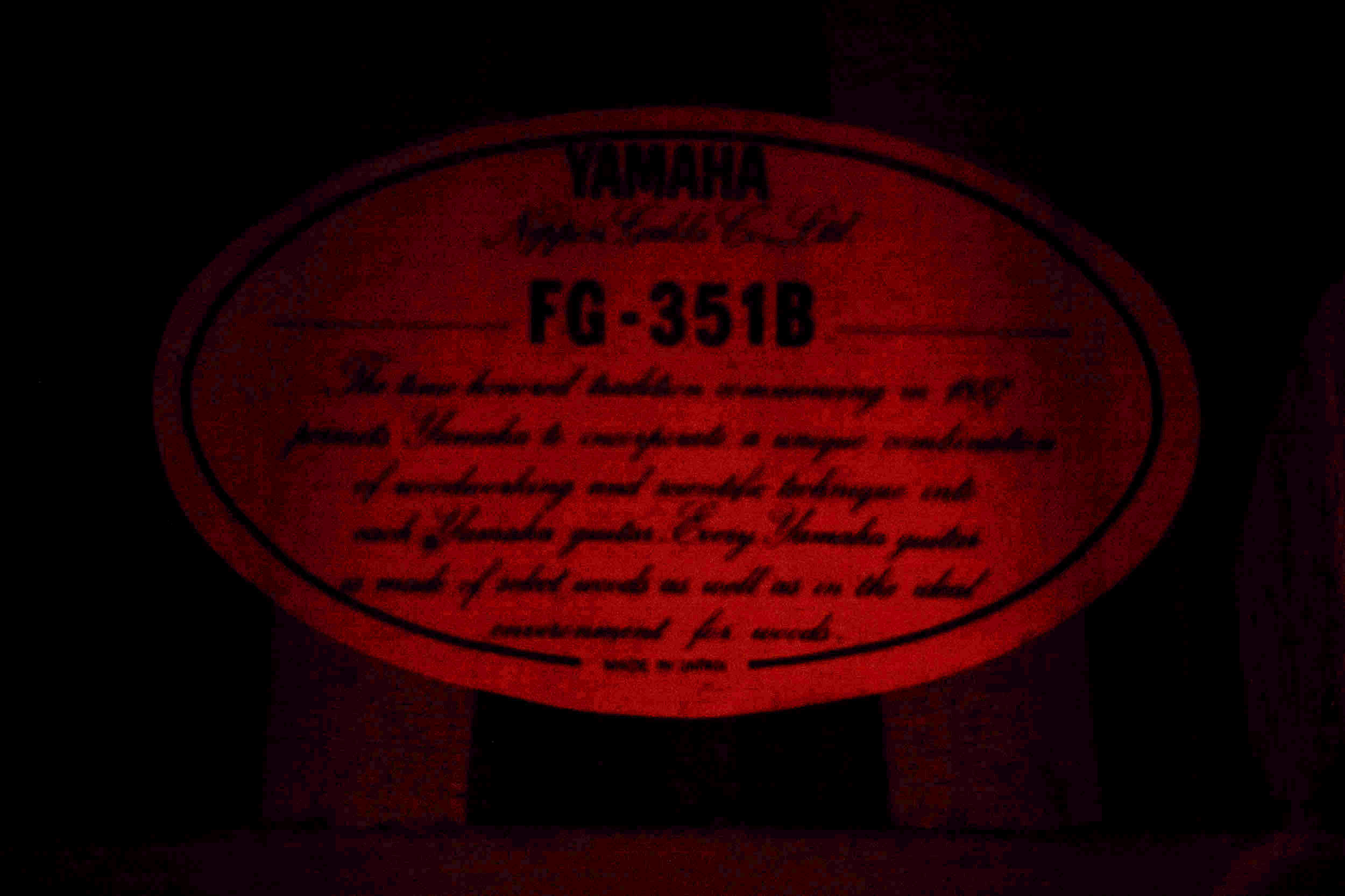 P1014186 copy