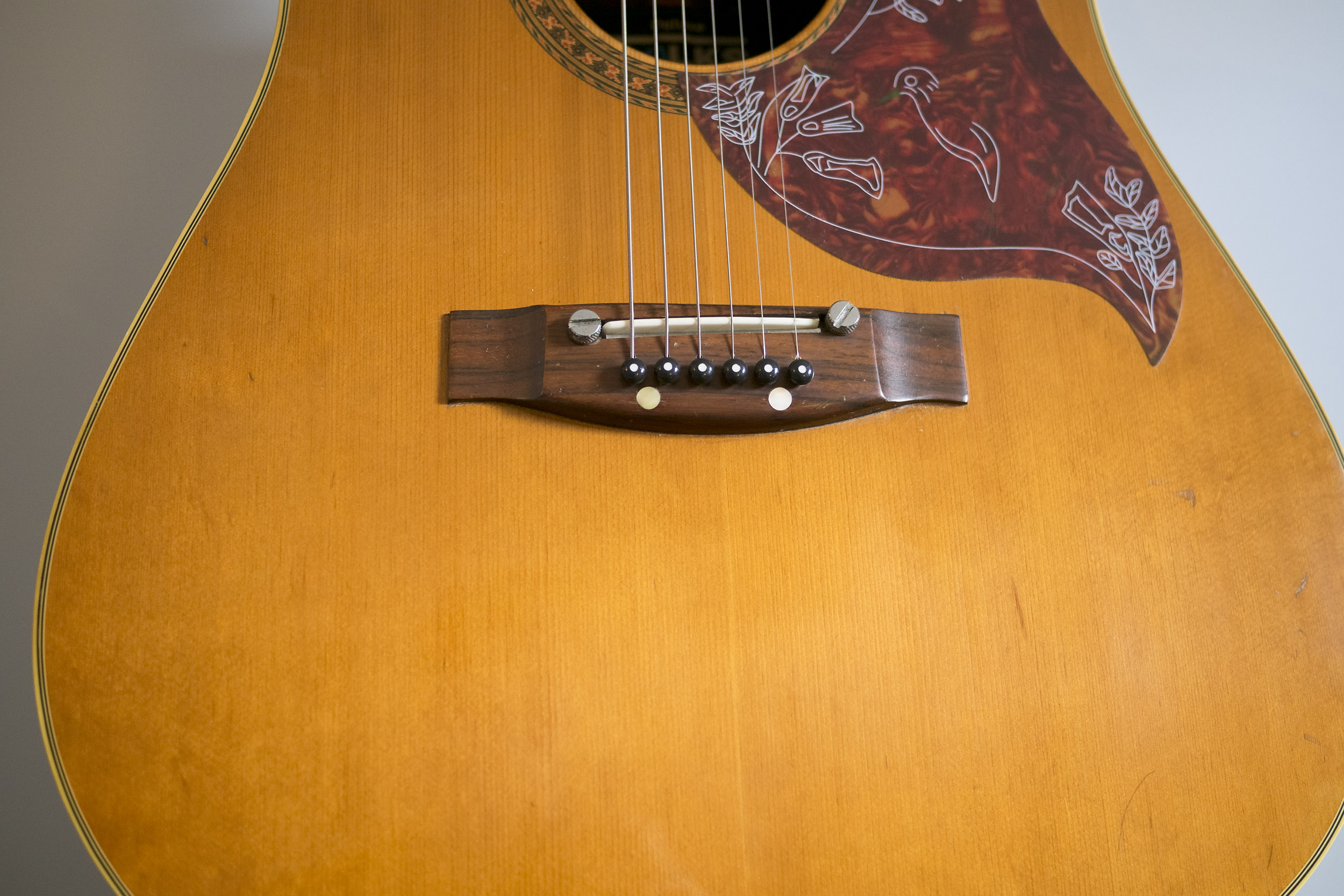 Guitare Japonaise Vintage FOLKS DELUXE 70's style hummingbird
