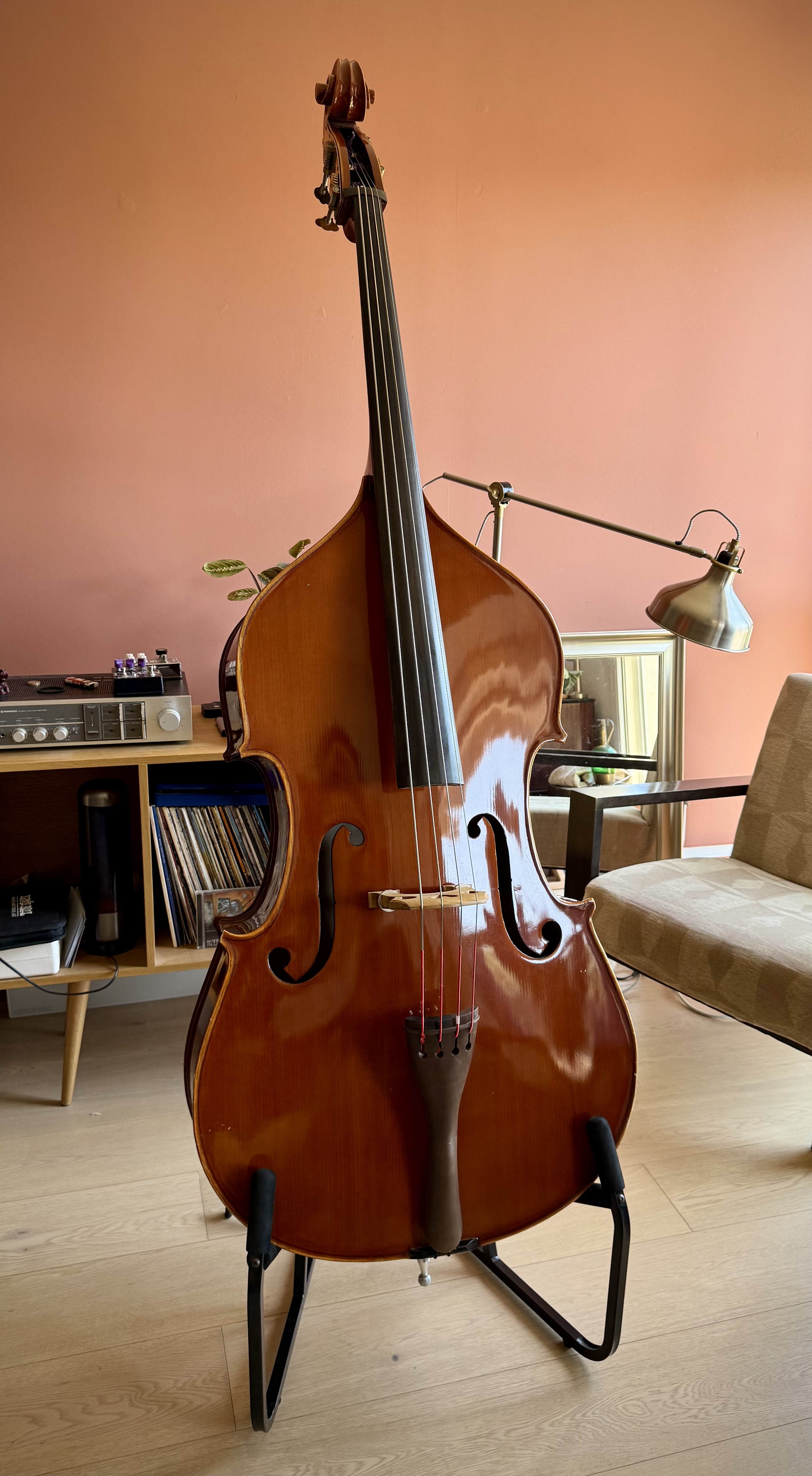 Contrebasse 3/4 ALCALYA Conservatoire — révisée par le luthier Bourgarel