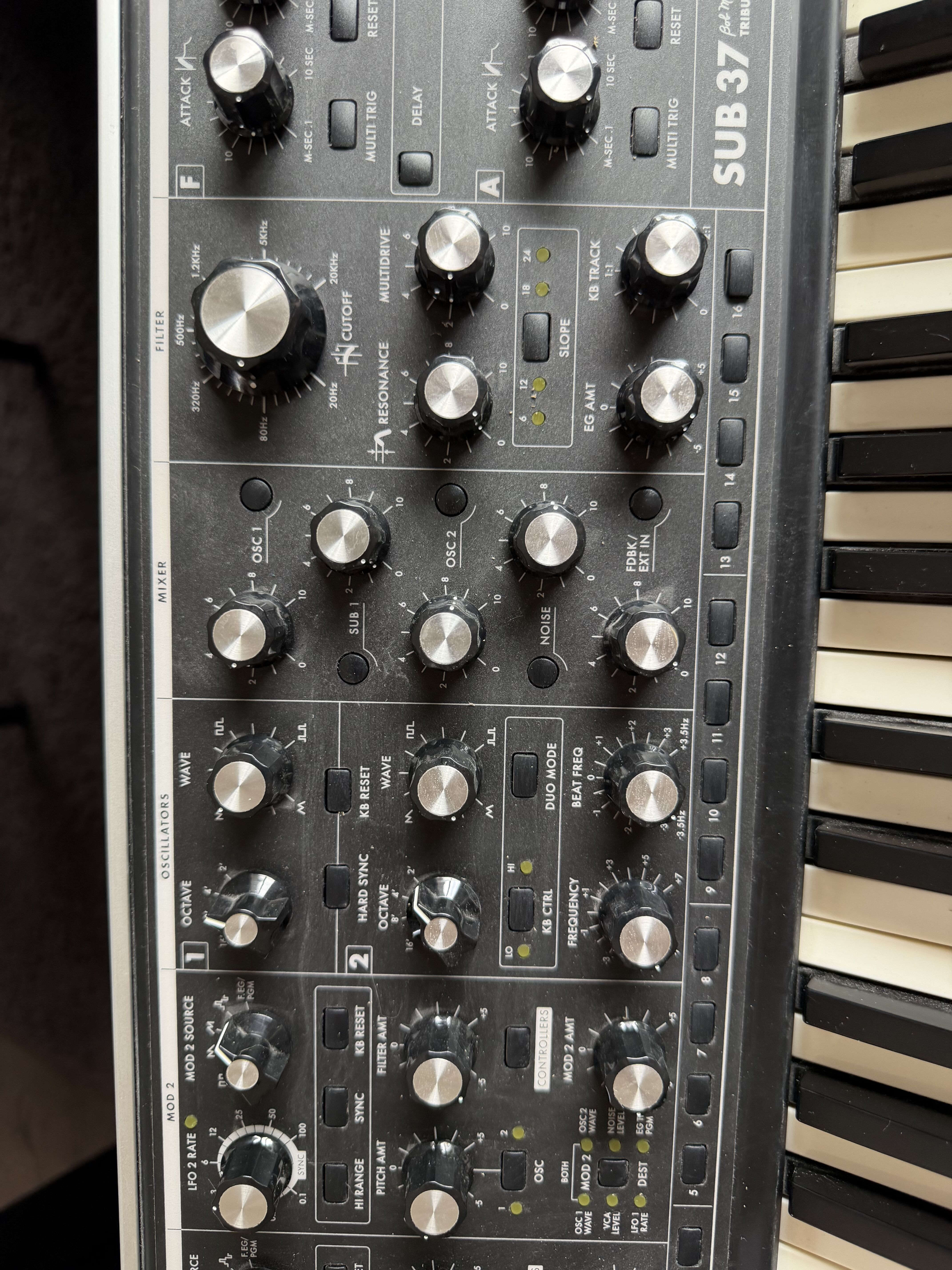 Moog Music SUB 37 (35105)