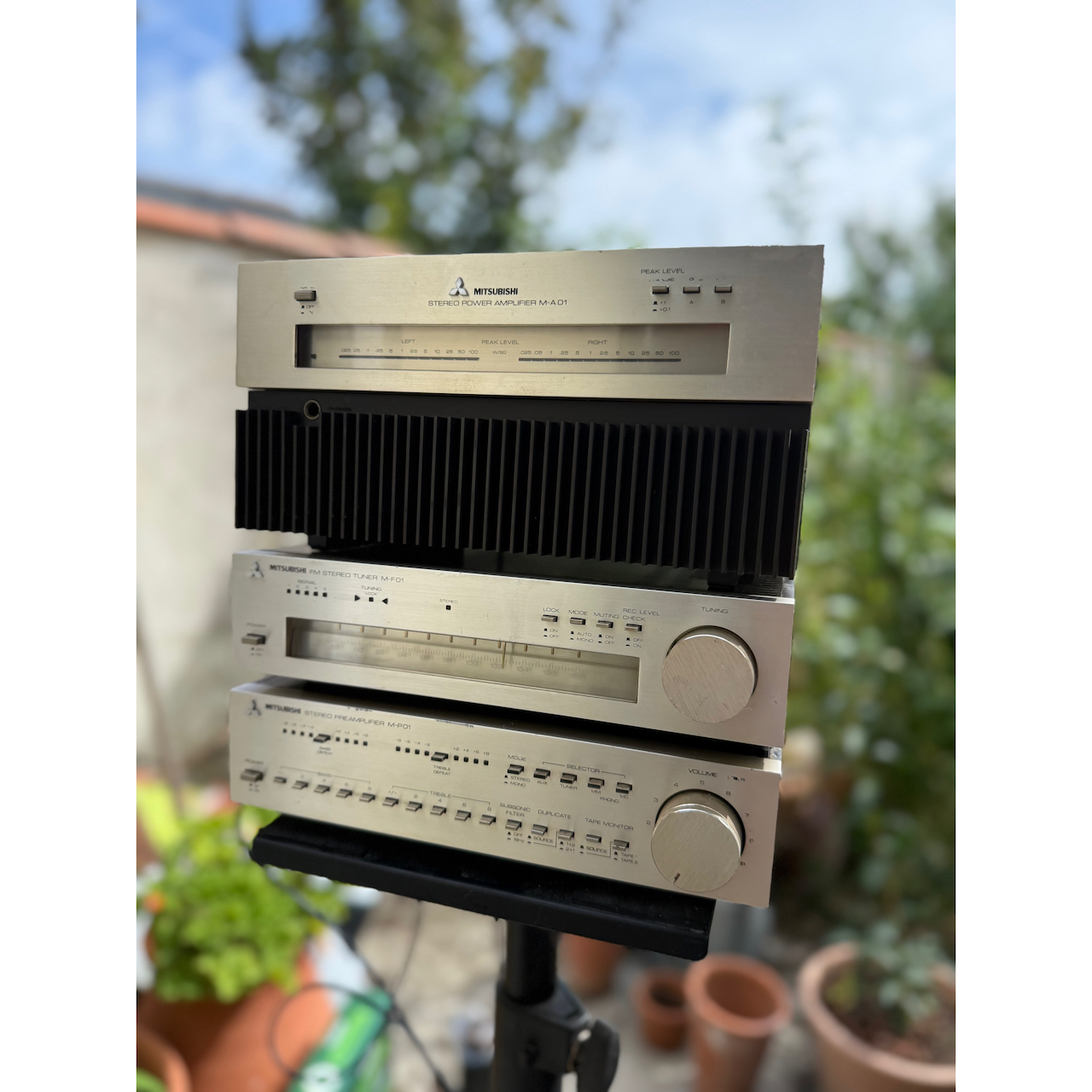 ISIMG-1007895
