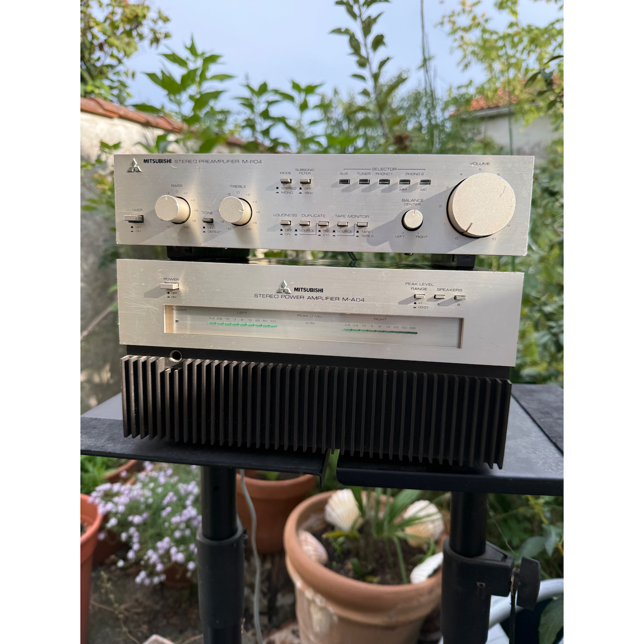 ISIMG-1008245