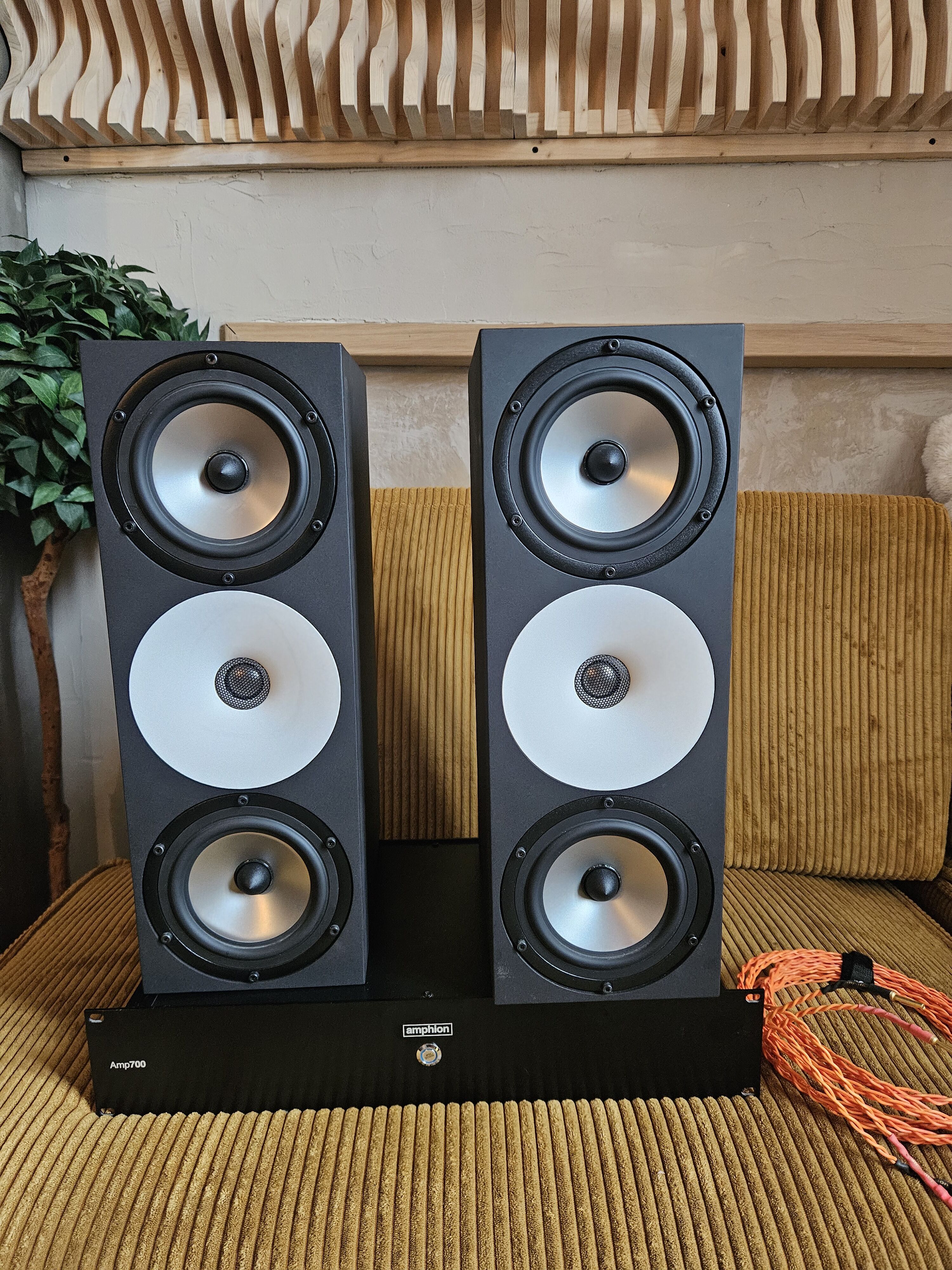 AMPHION TWO15 + AMP + Cable