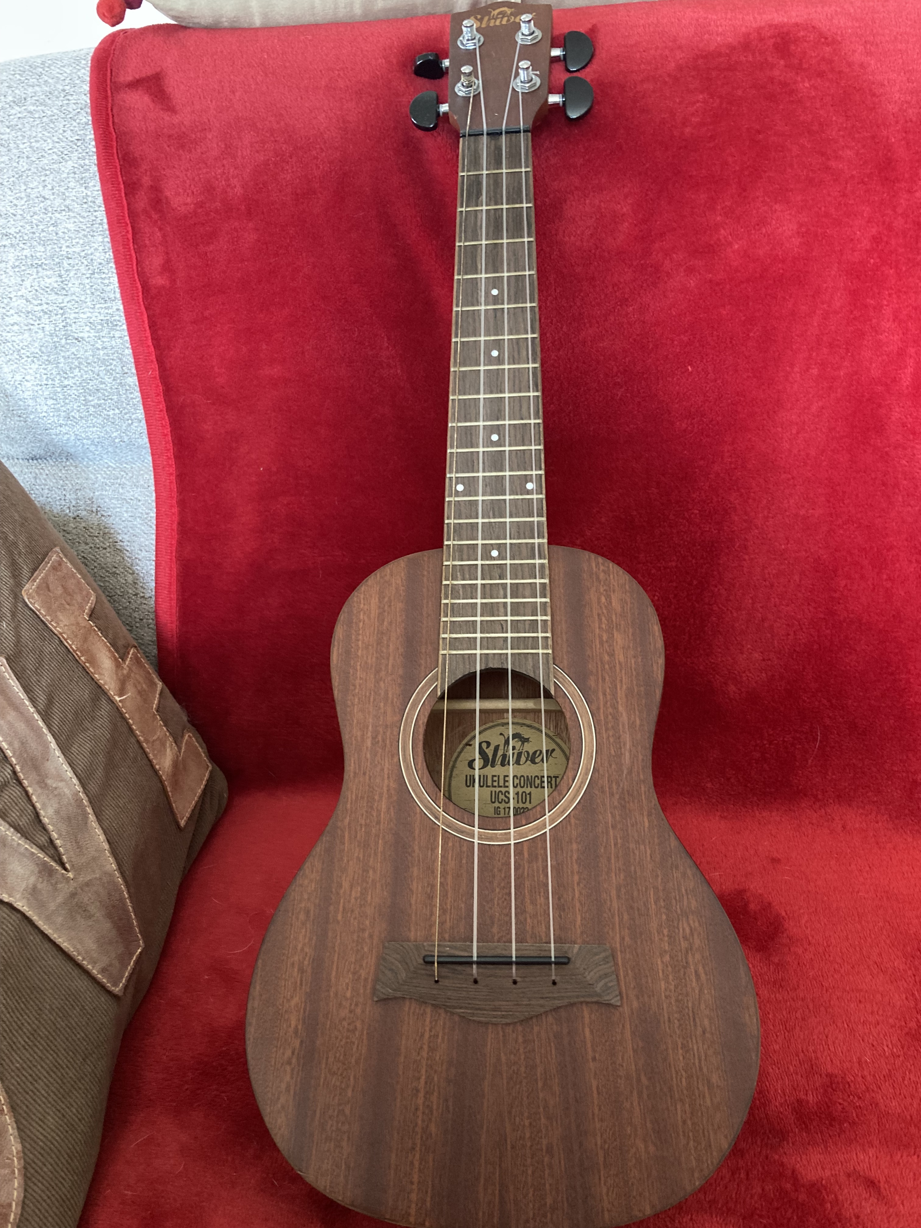 Ukulele concert SHIVER