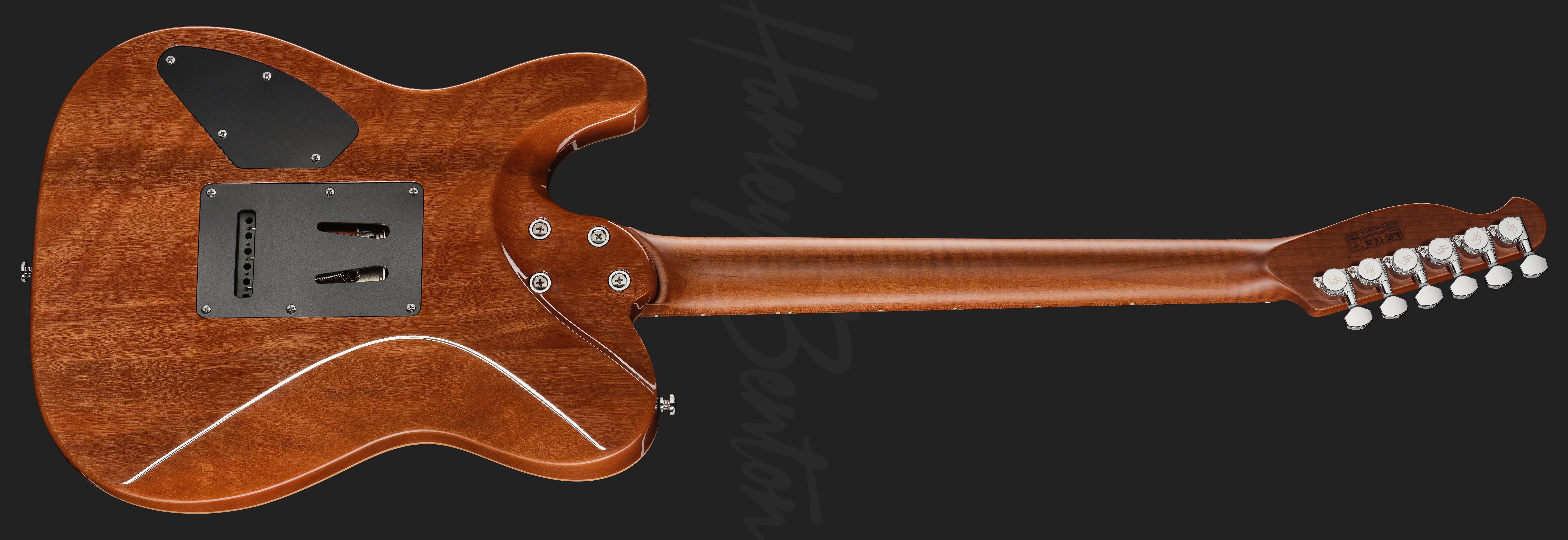 Harley Benton Fusion-T II HH : Fusion-T II HHREAR