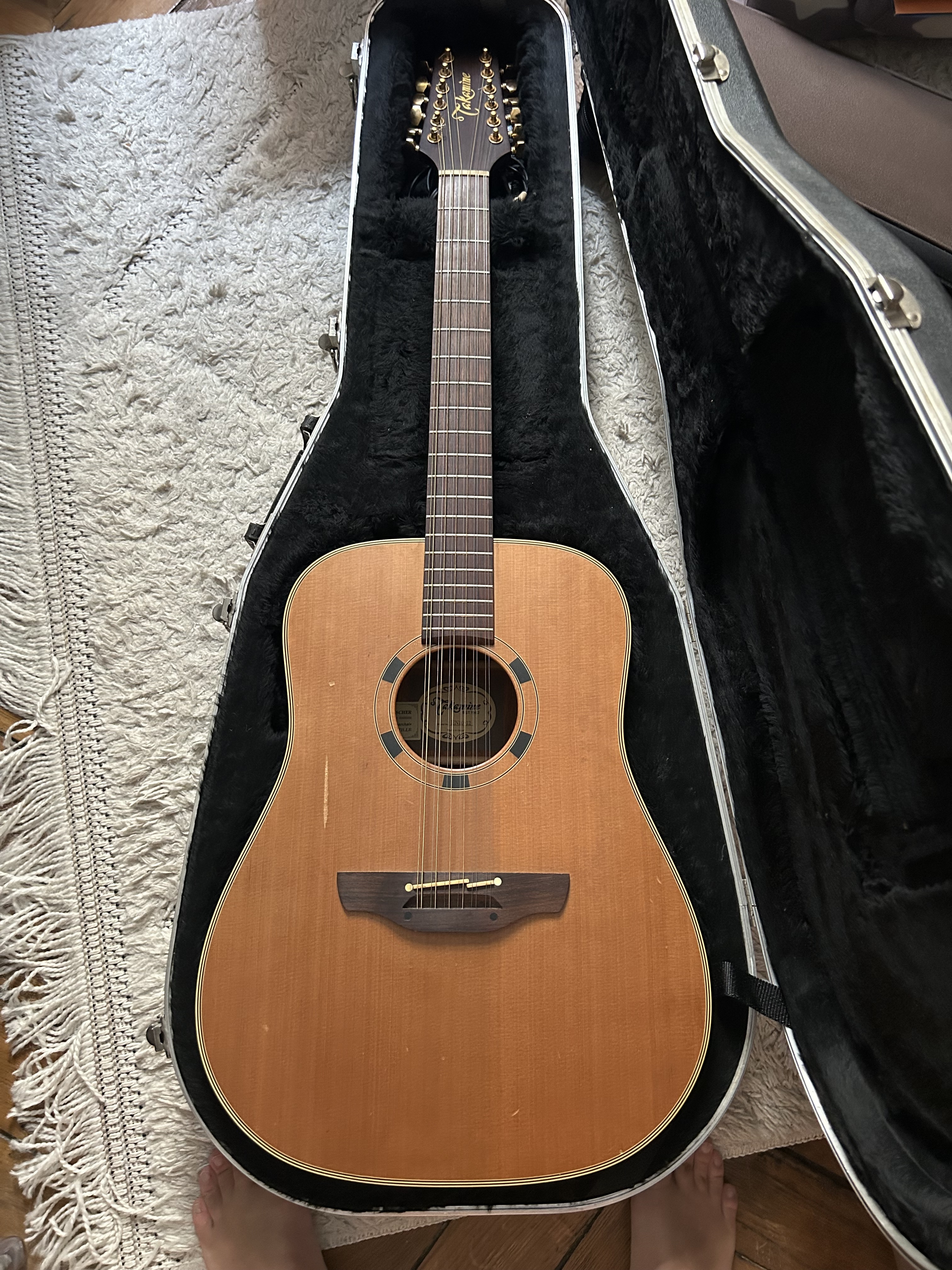 Vends takamine en10 12 cordes avec caisse