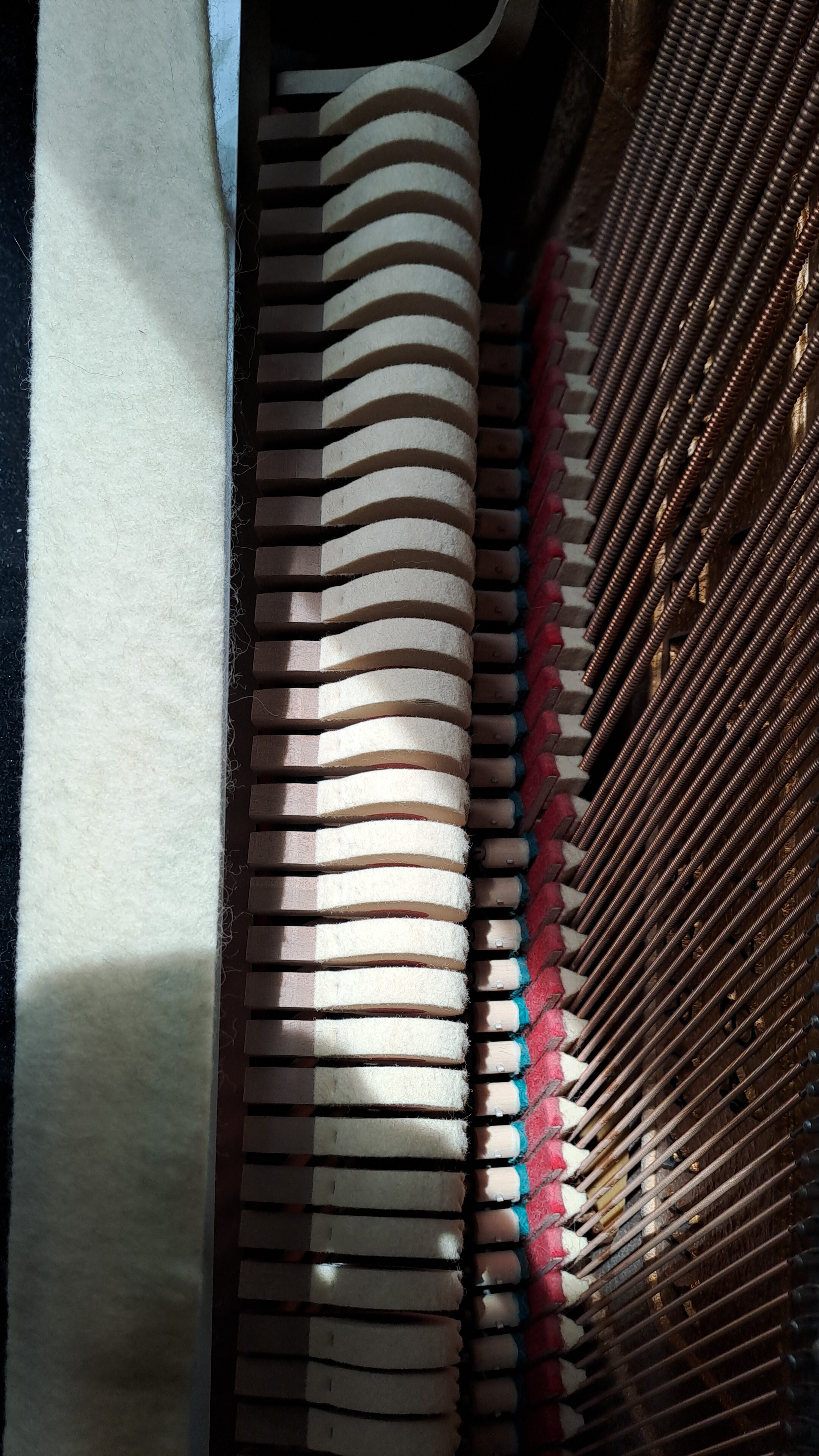 IMG-20260717-WA0019