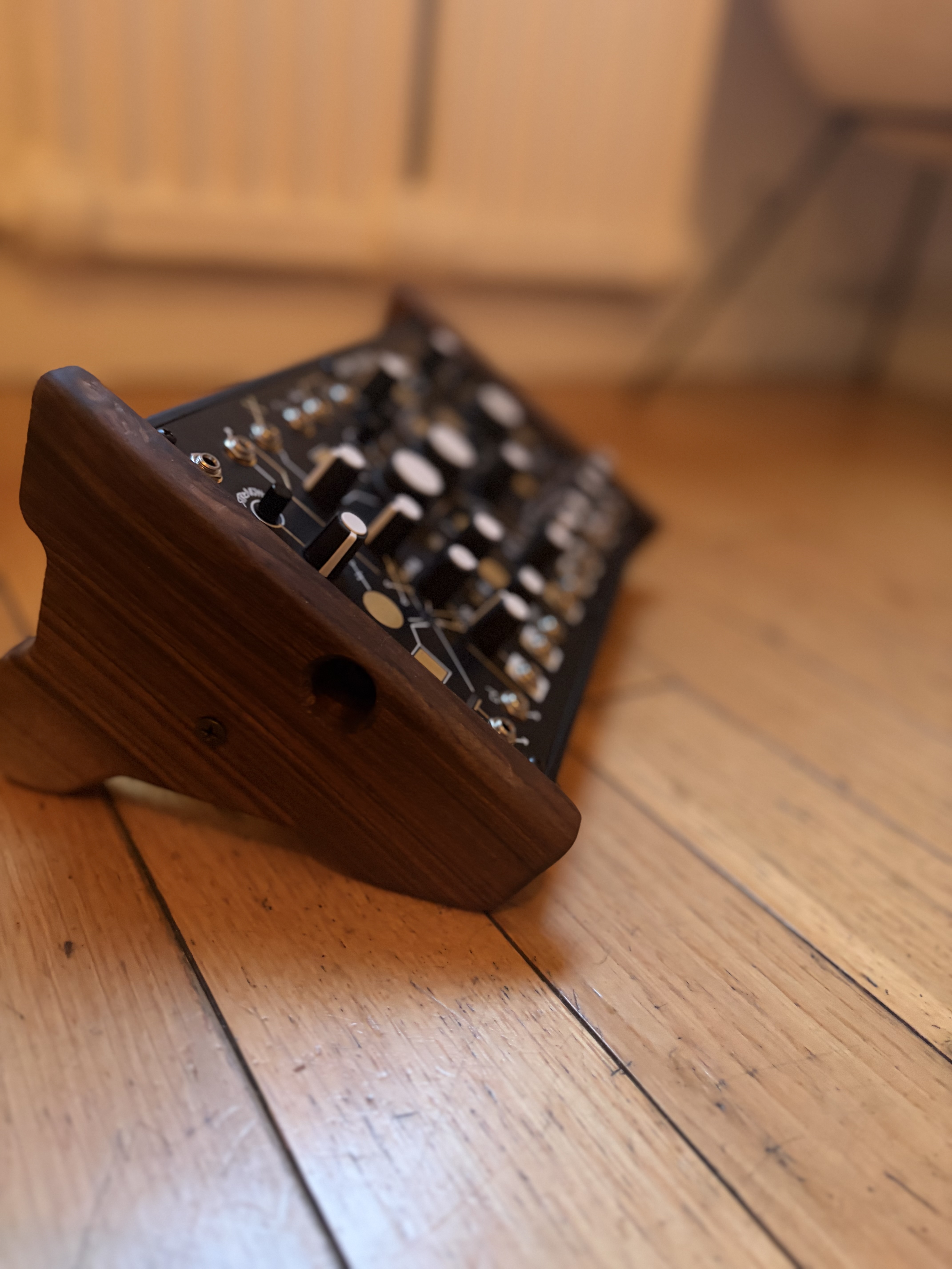 Make Noise Strega (39658)