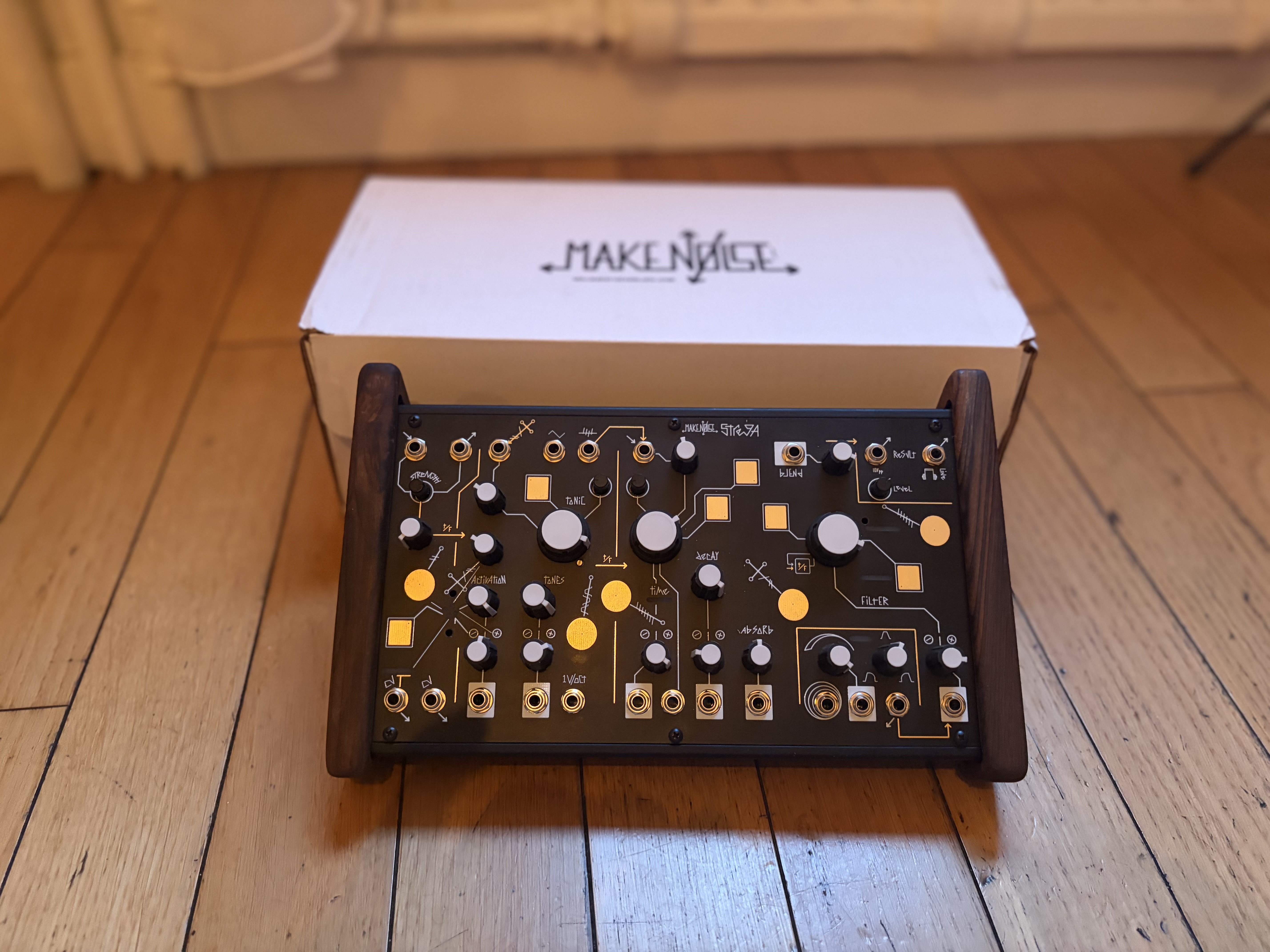 Make Noise Strega (62984)
