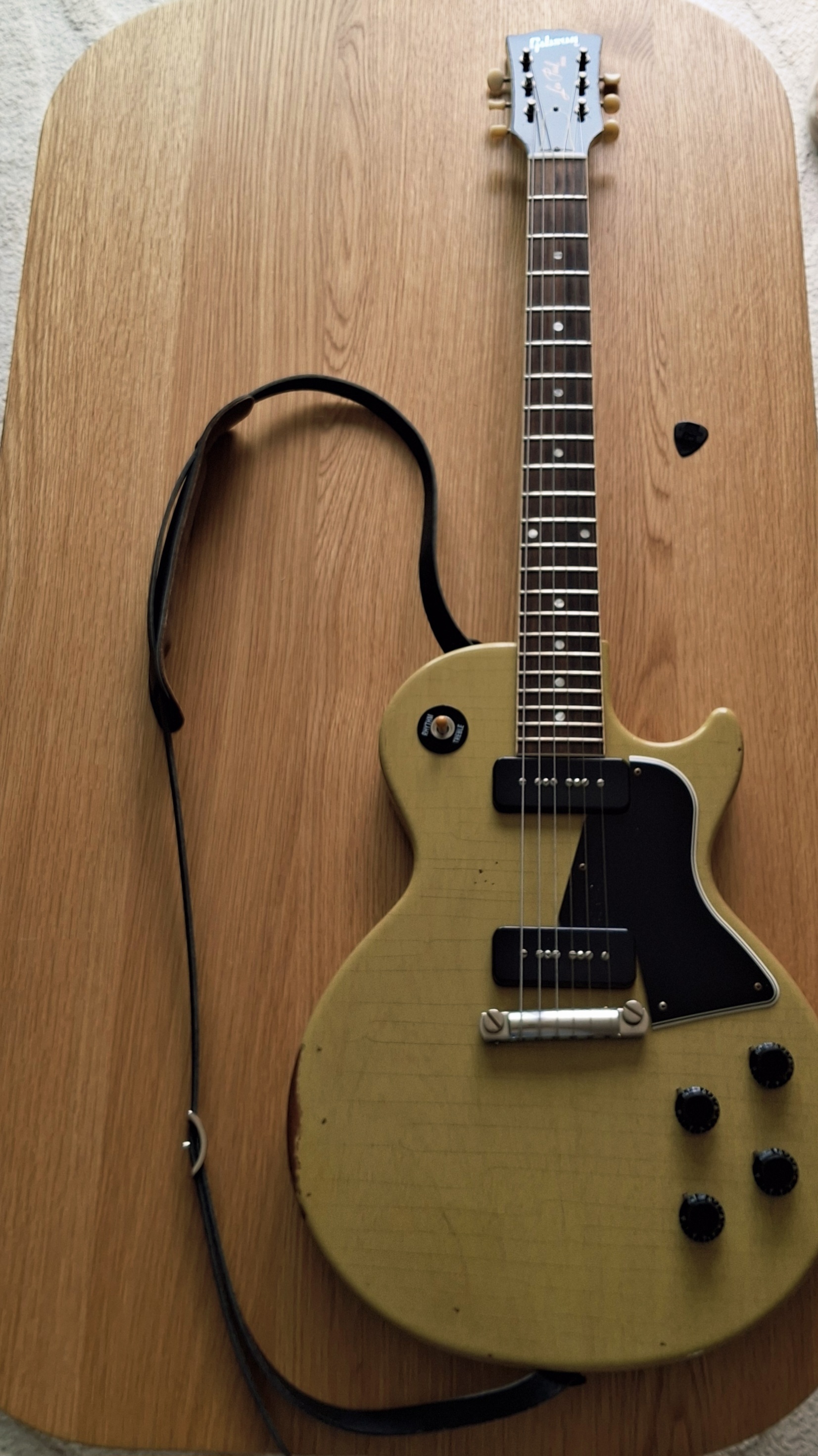 Gibson les paul special m2m 