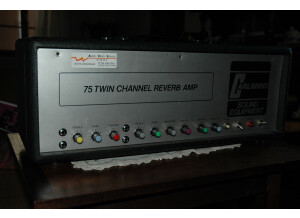 Carlsbro 75 Twin Channel Reverb Amp (56778)