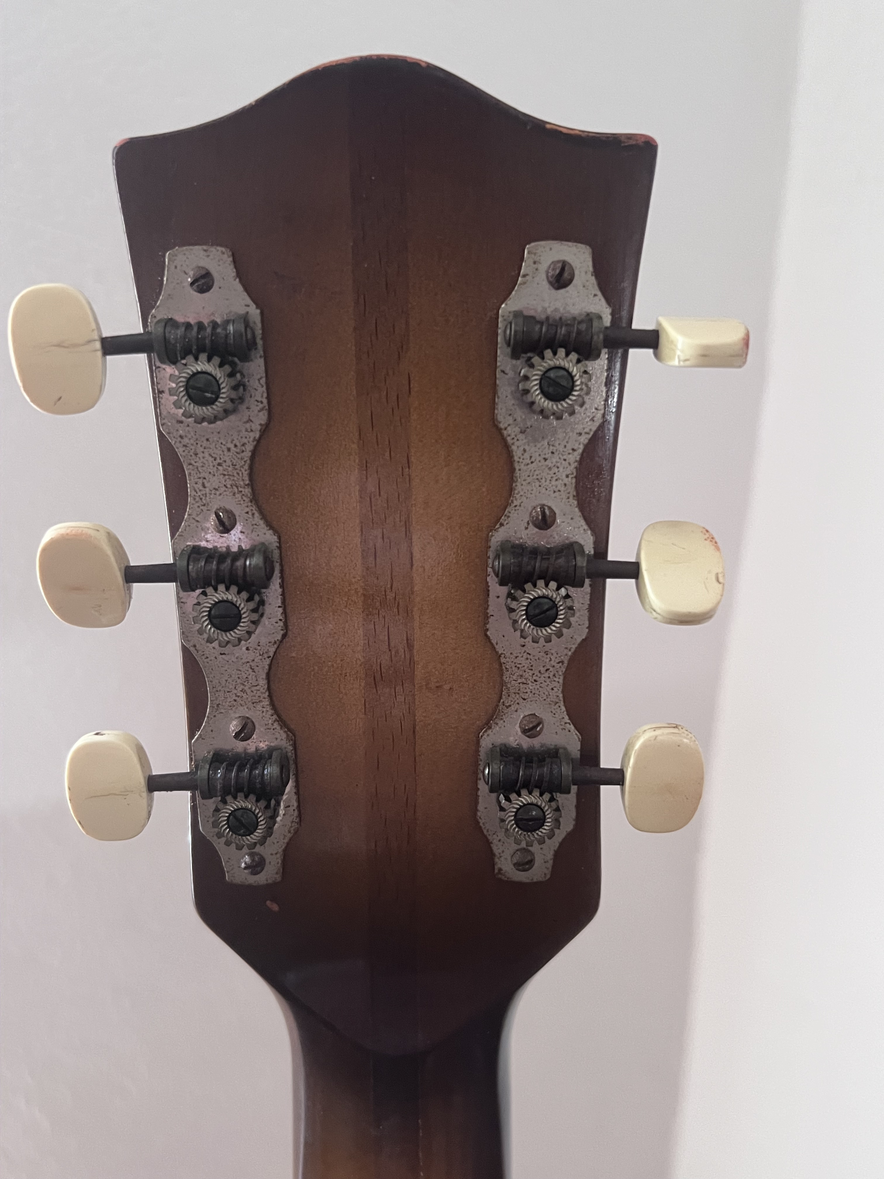 Hofner Guitars Model 450 (35313)
