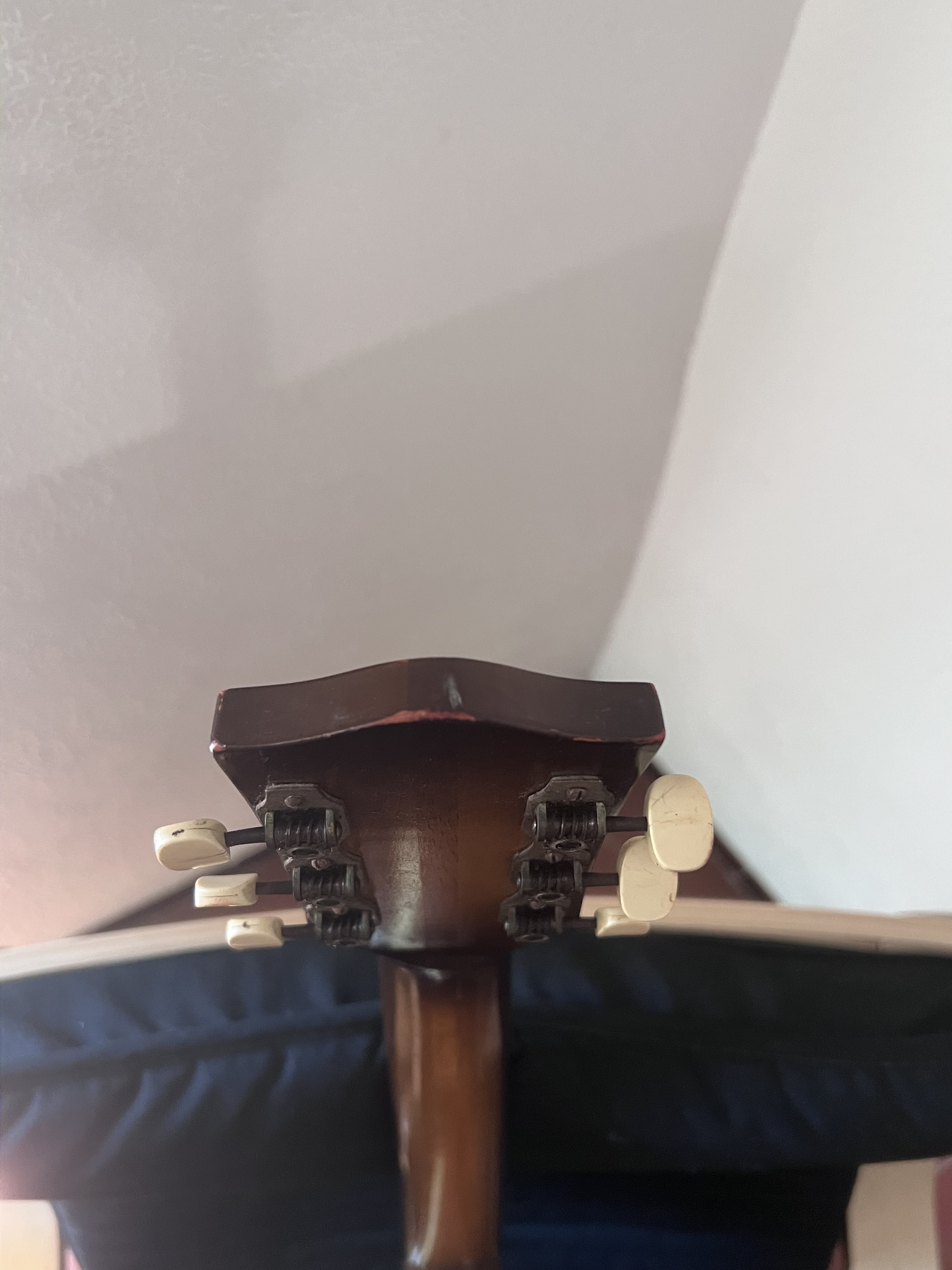 Hofner Guitars Model 450 (40997)